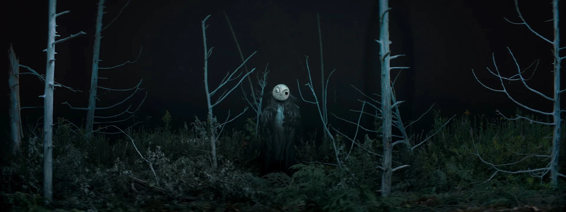 kin fables amy gardner