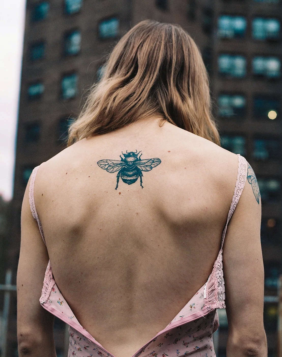 Kyle butterfly.jpg