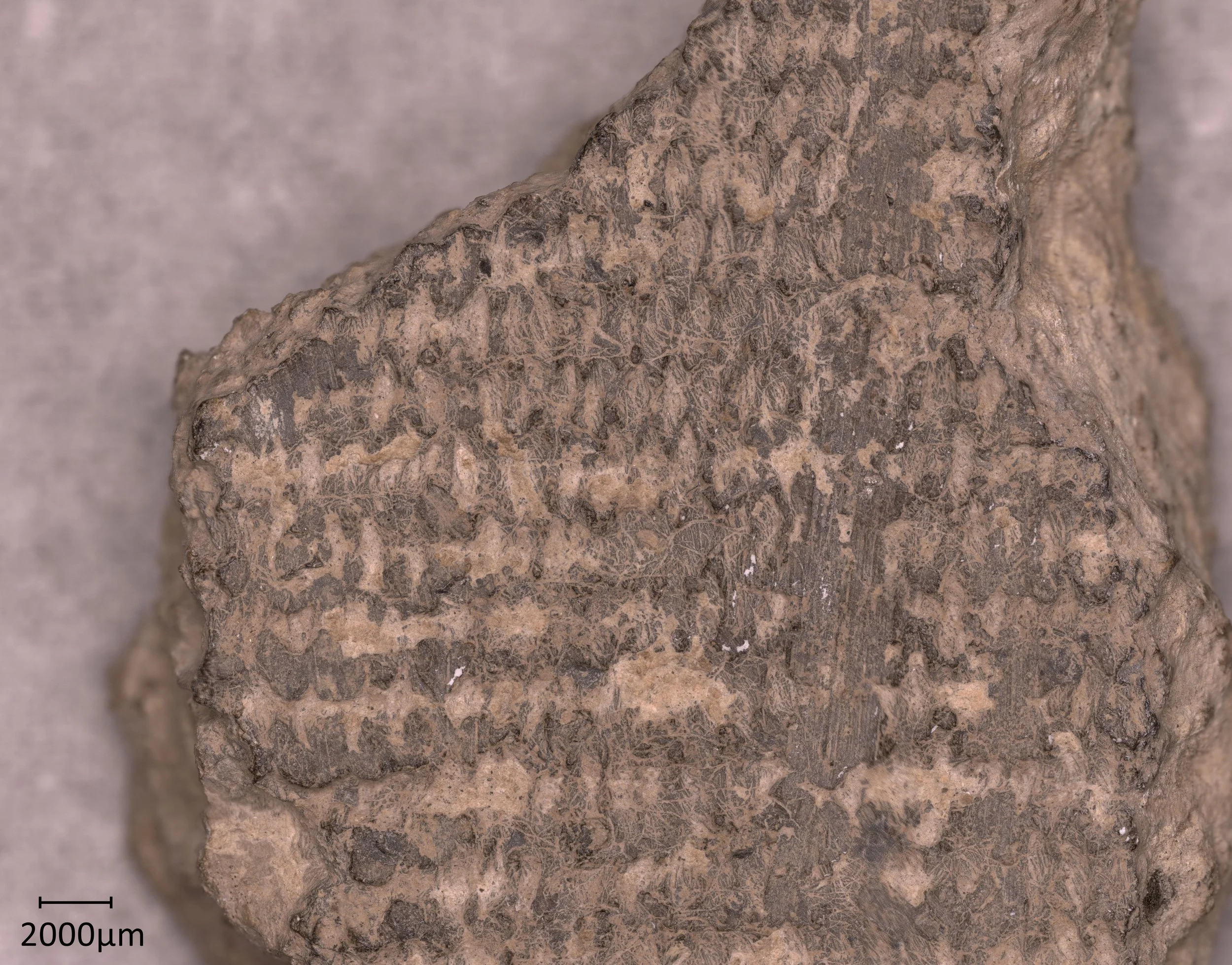 Prehistoric textiles and nomads
