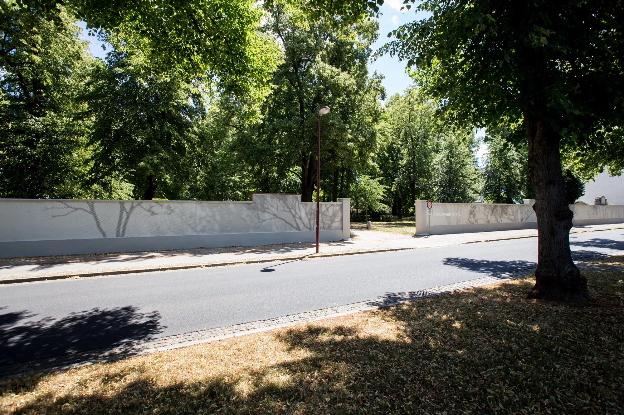 Rasterbild_Schatten_Bäume_Baum_Forst_Transparent_Wand_Fassade_Straße_Park.jpg