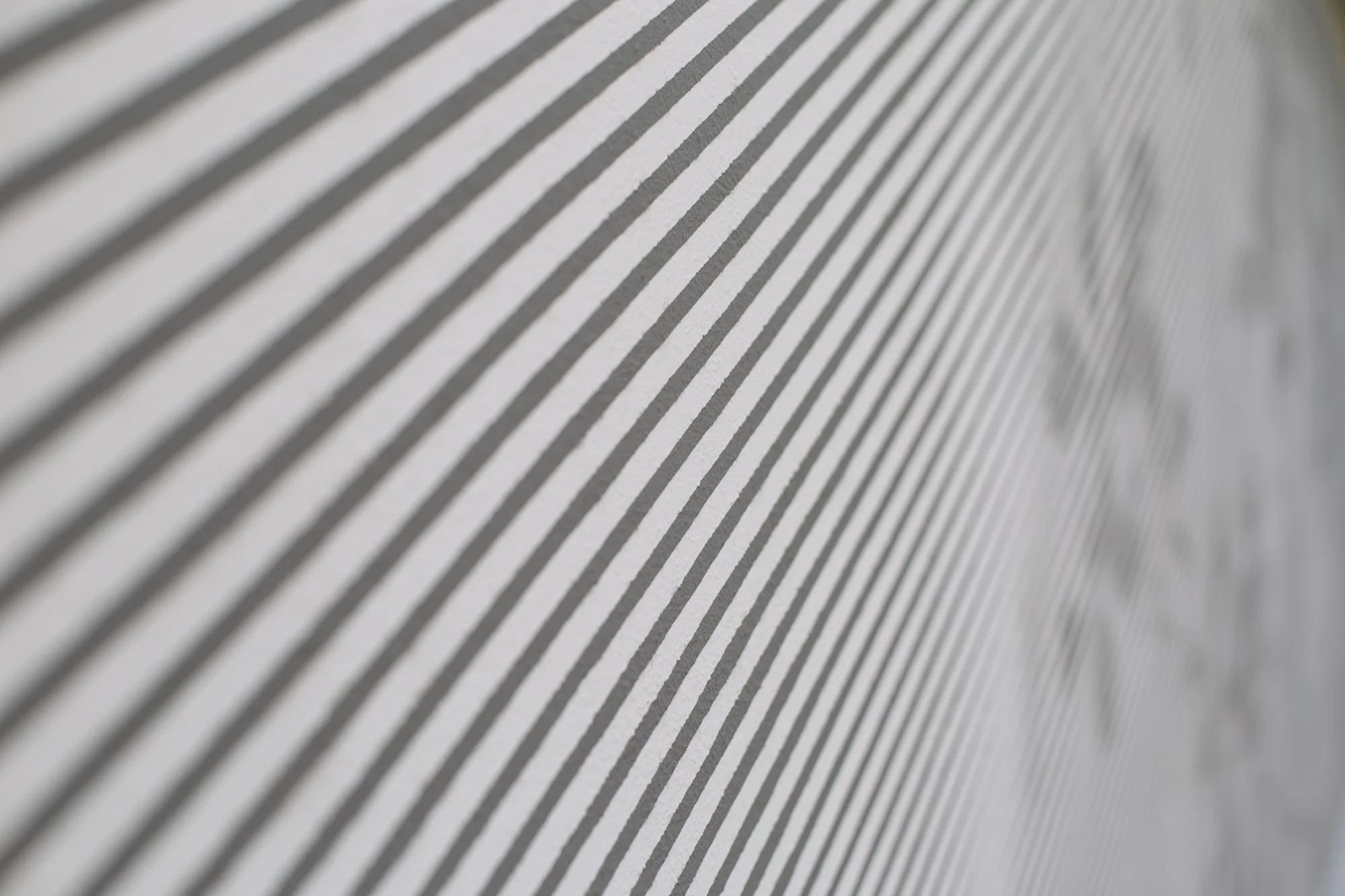 Rasterbild_Schatten_Striche_Baum_schwarz-weiß_Forst_Transparent_Wand_Fassade.jpg