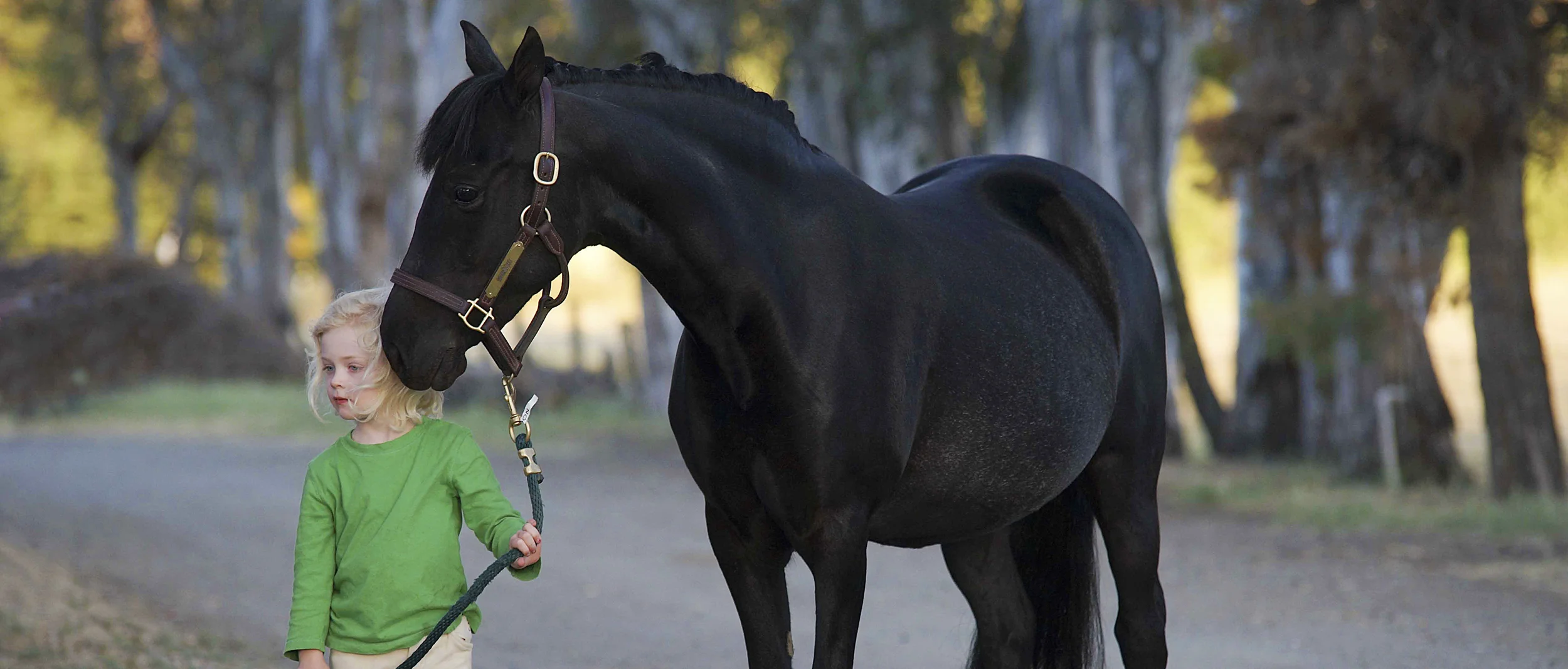 Midnight 9299 small CROPPED.jpg