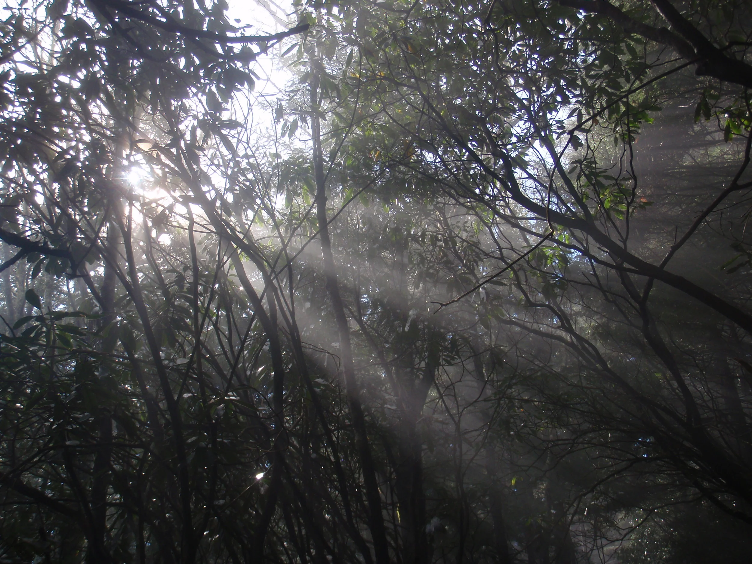 Thru Hiking Appalachian Trail