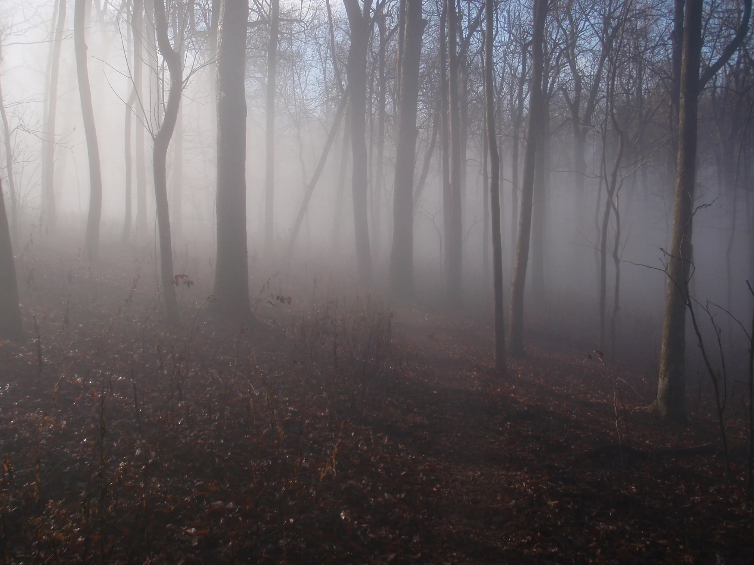 Thru Hiking Appalachian Trail