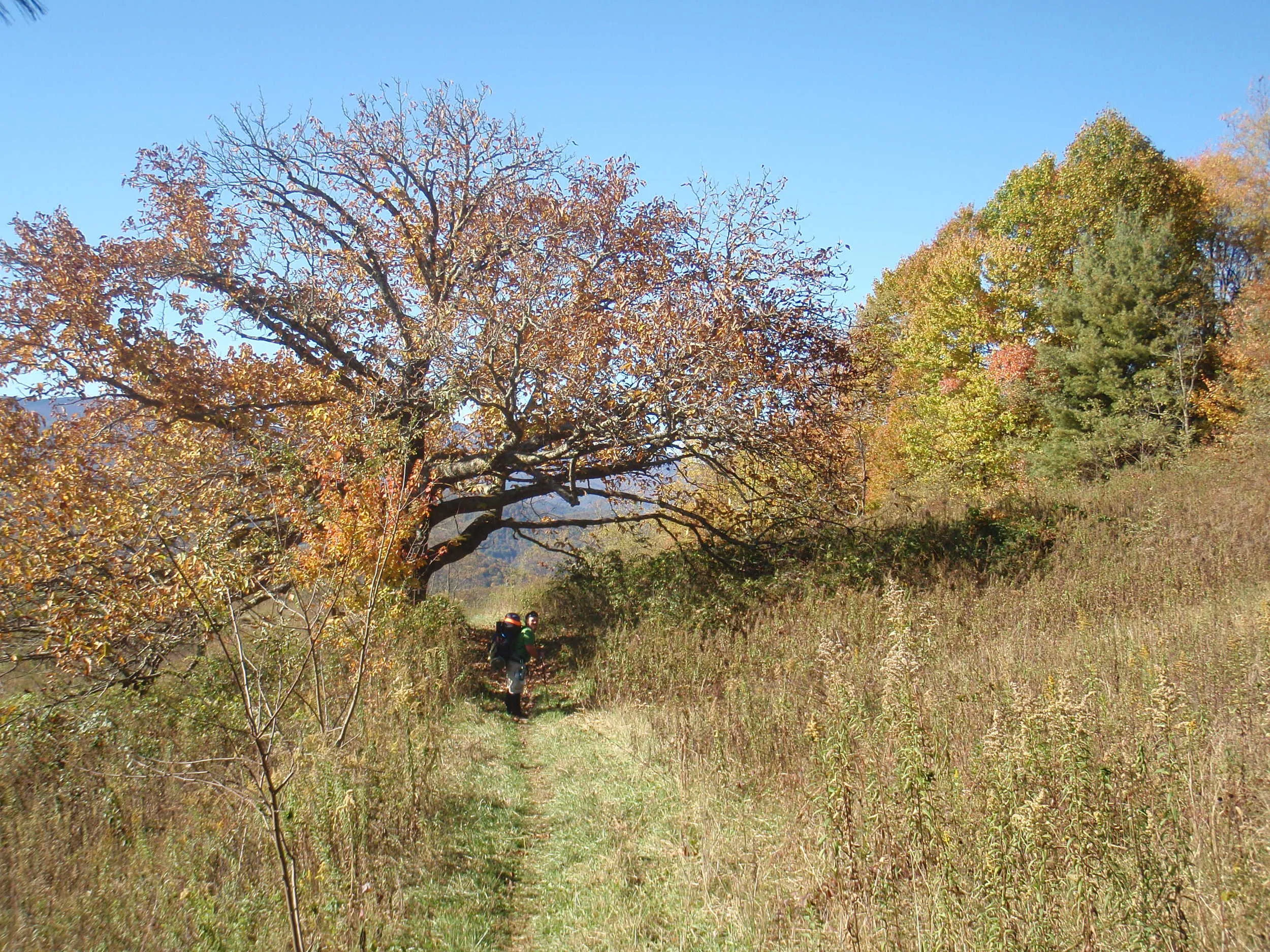 PA190313.jpg