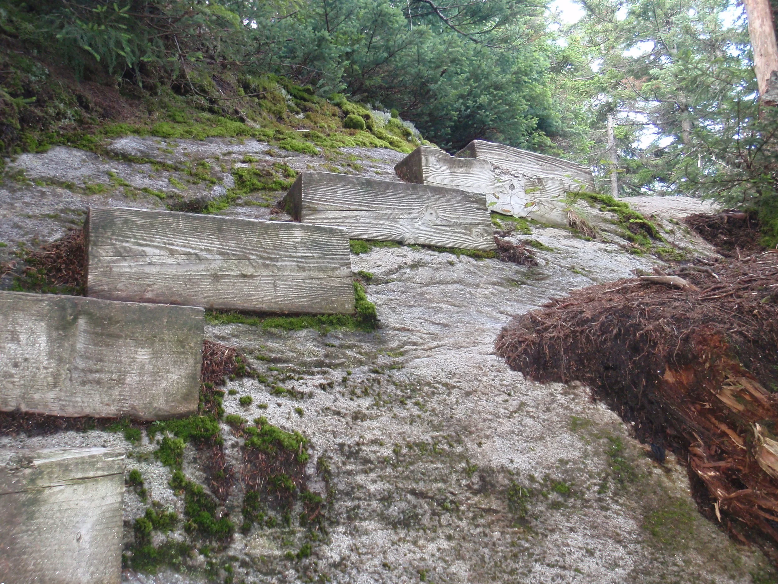 P8250386.jpg
