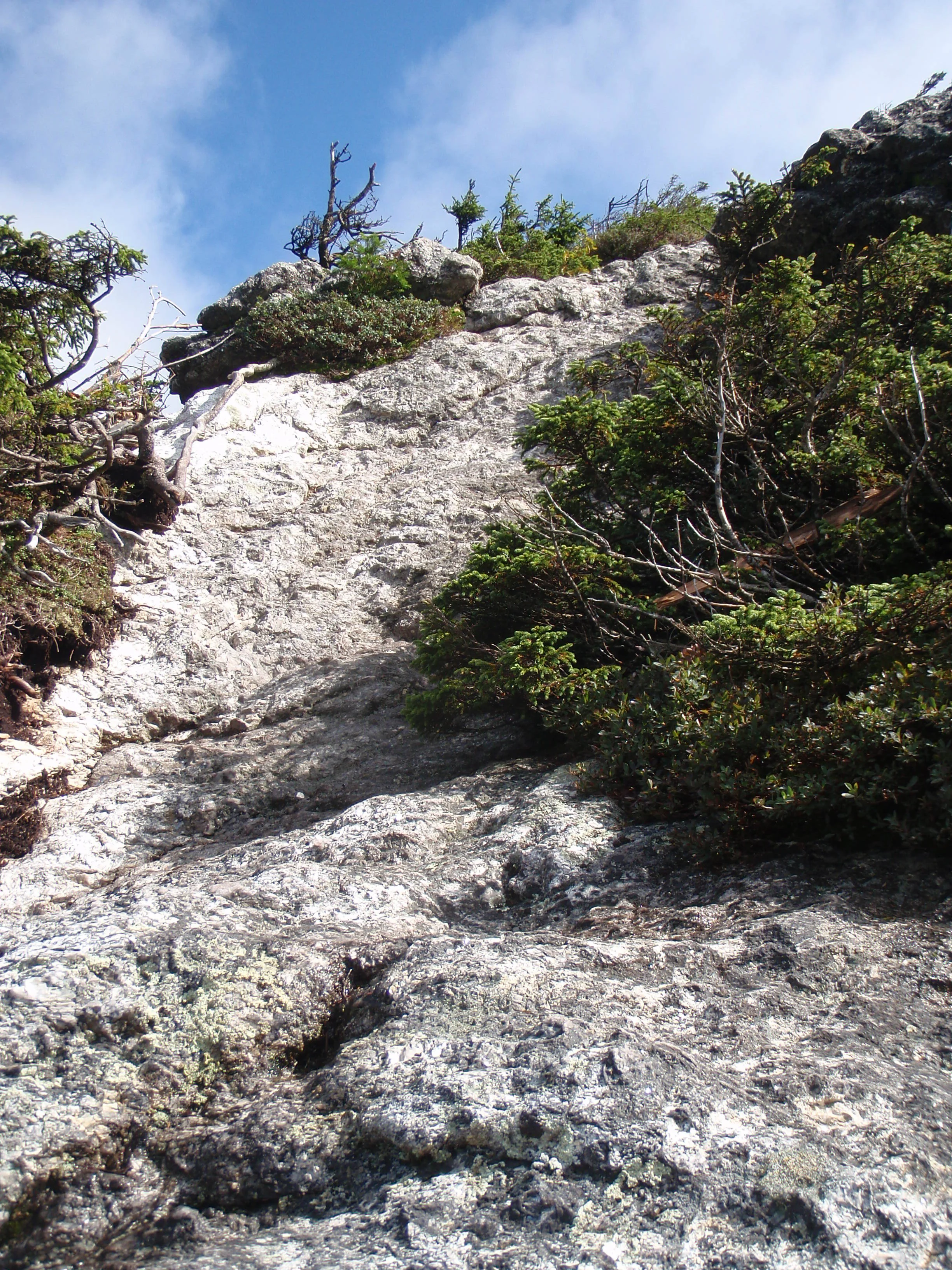 Thru Hiking Appalachian Trail