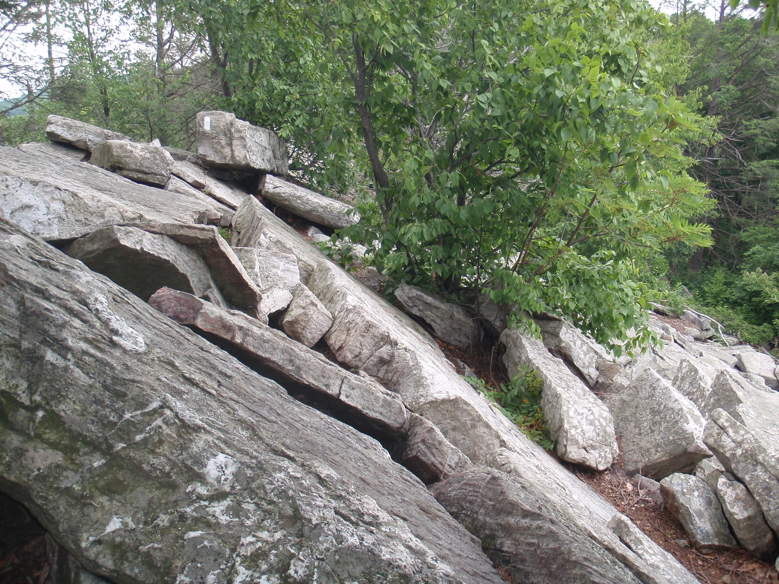 Thru Hiking Appalachian Trail