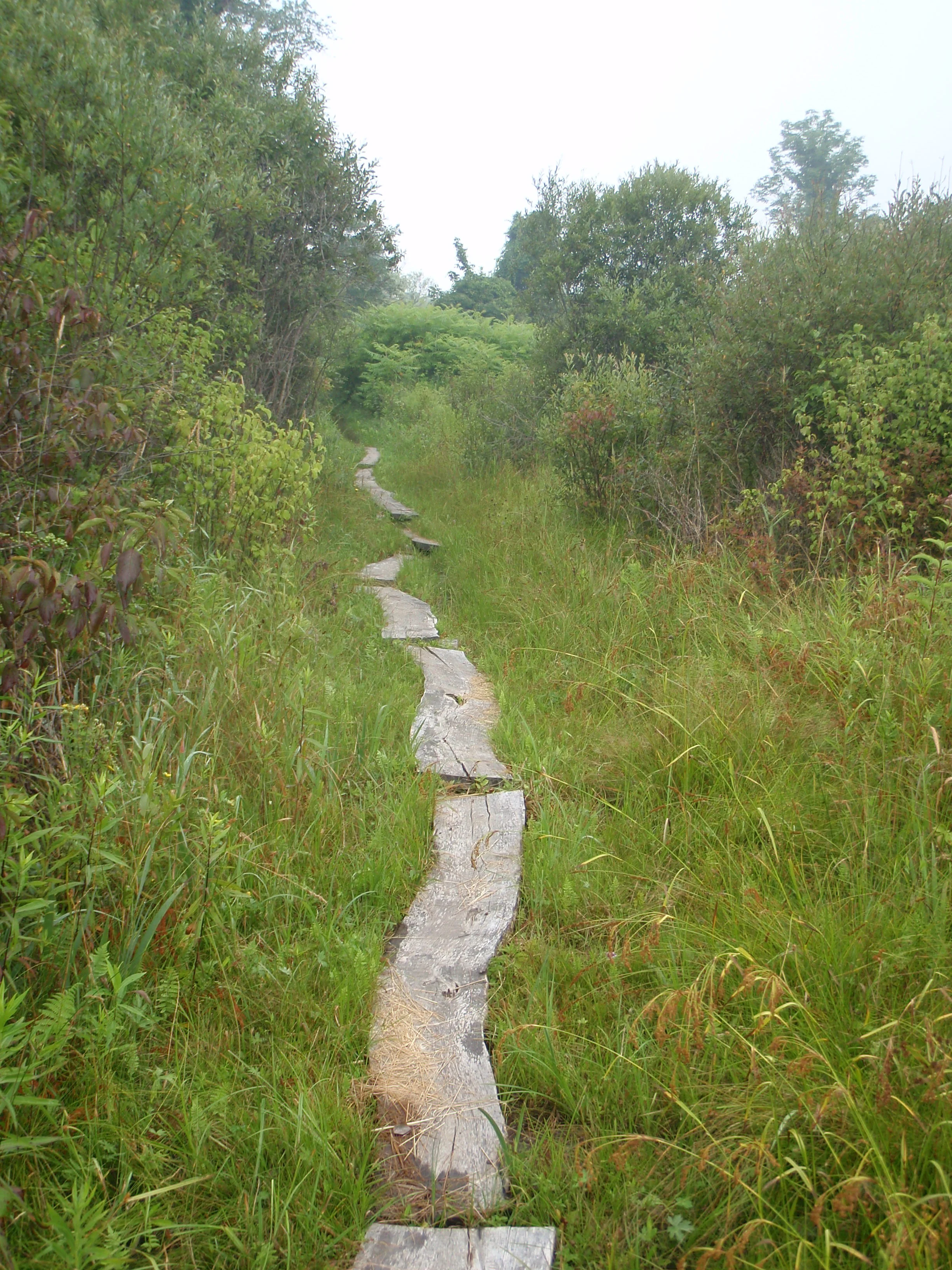 Thru Hiking Appalachian Trail