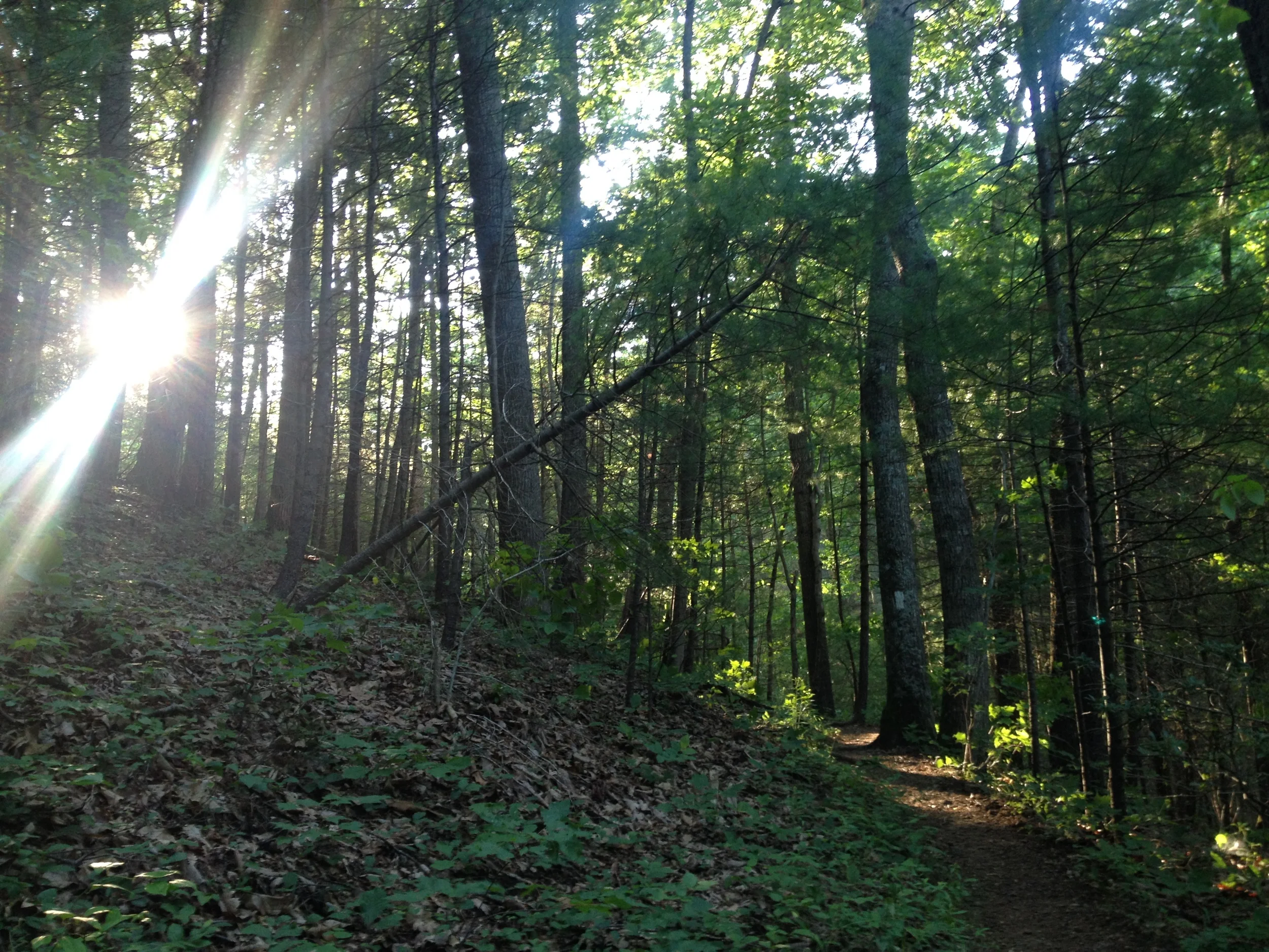 Thru Hiking Appalachian Trail