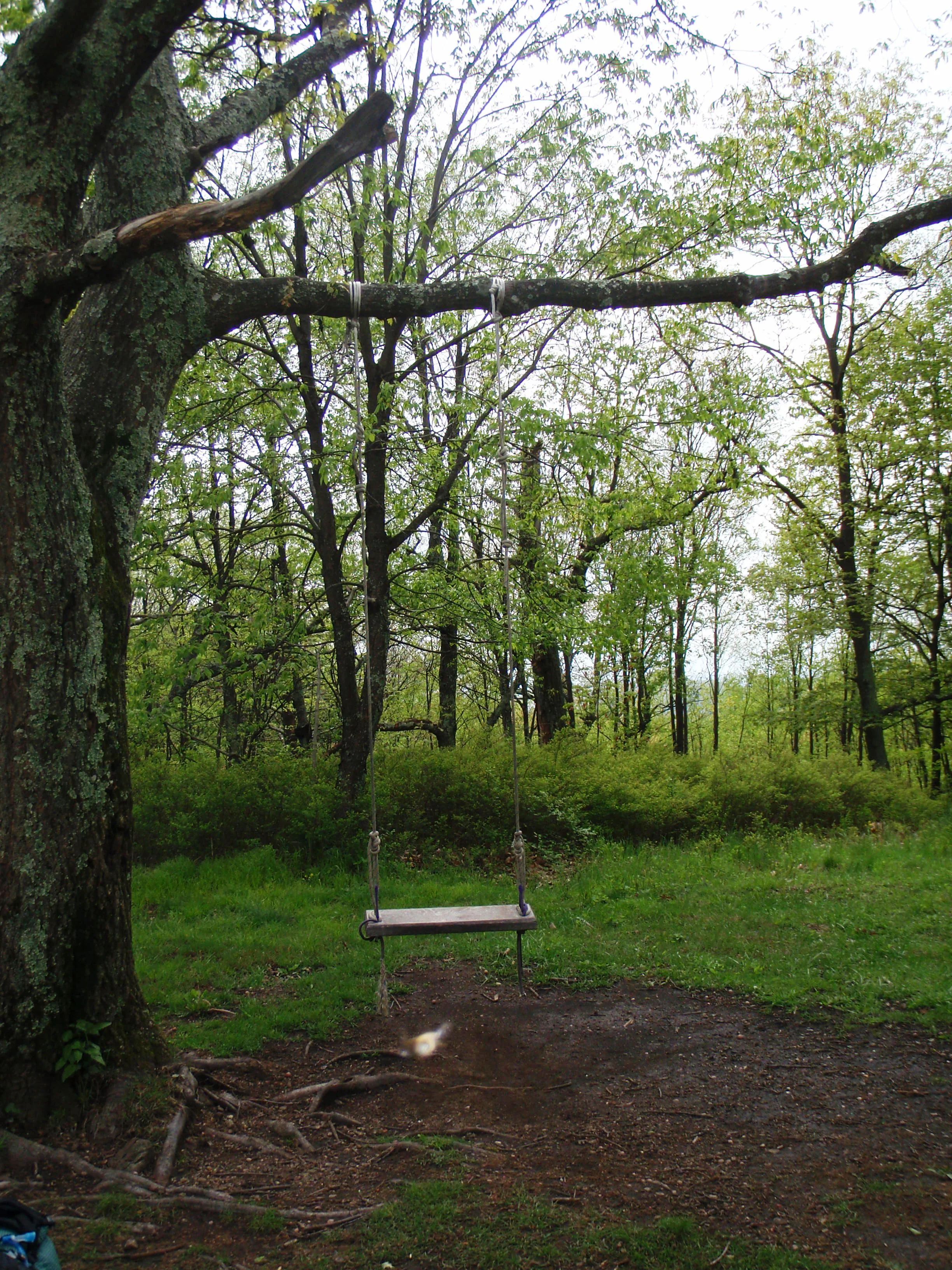 Thru Hiking Appalachian Trail