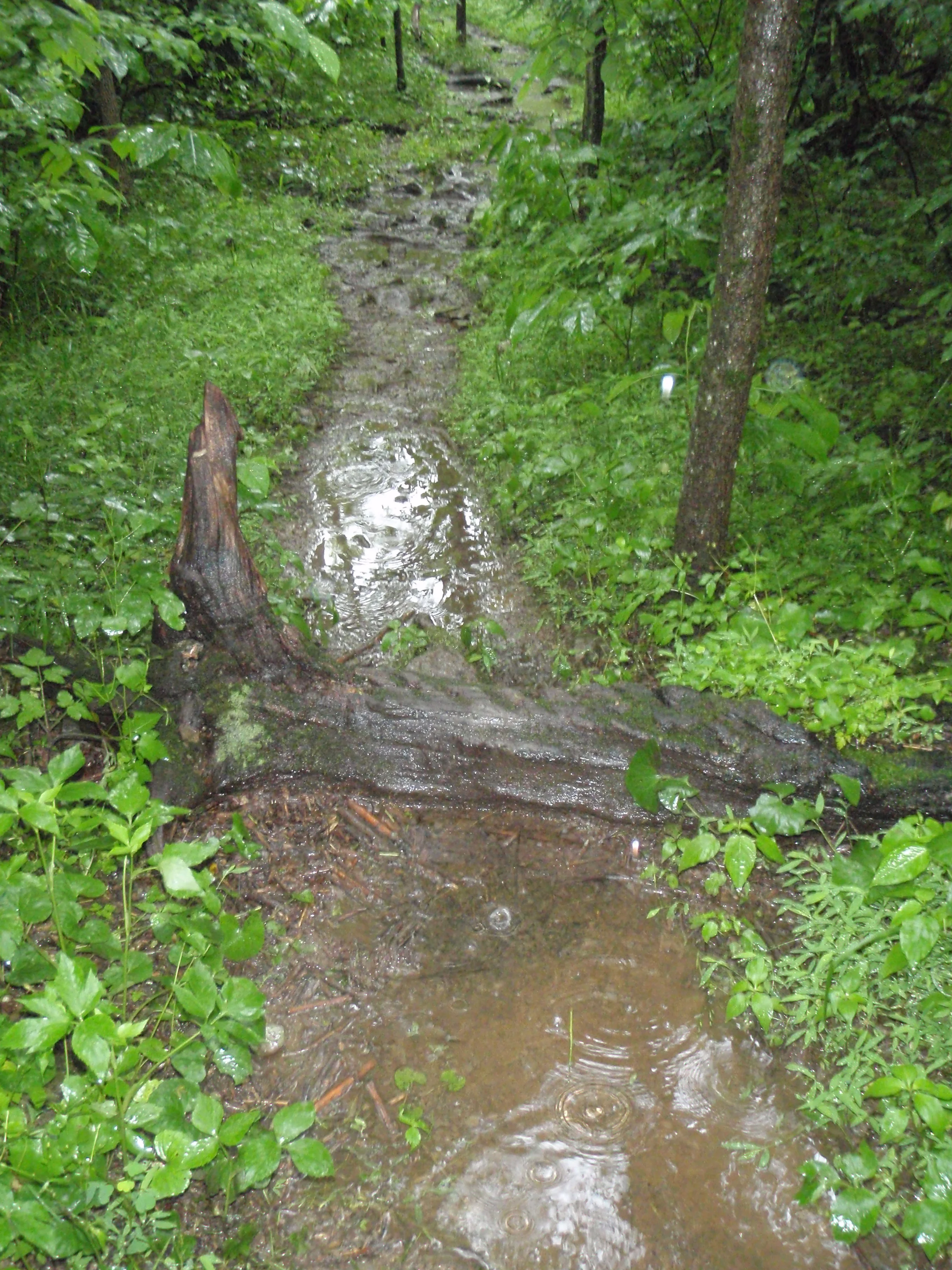 Thru Hiking Appalachian Trail