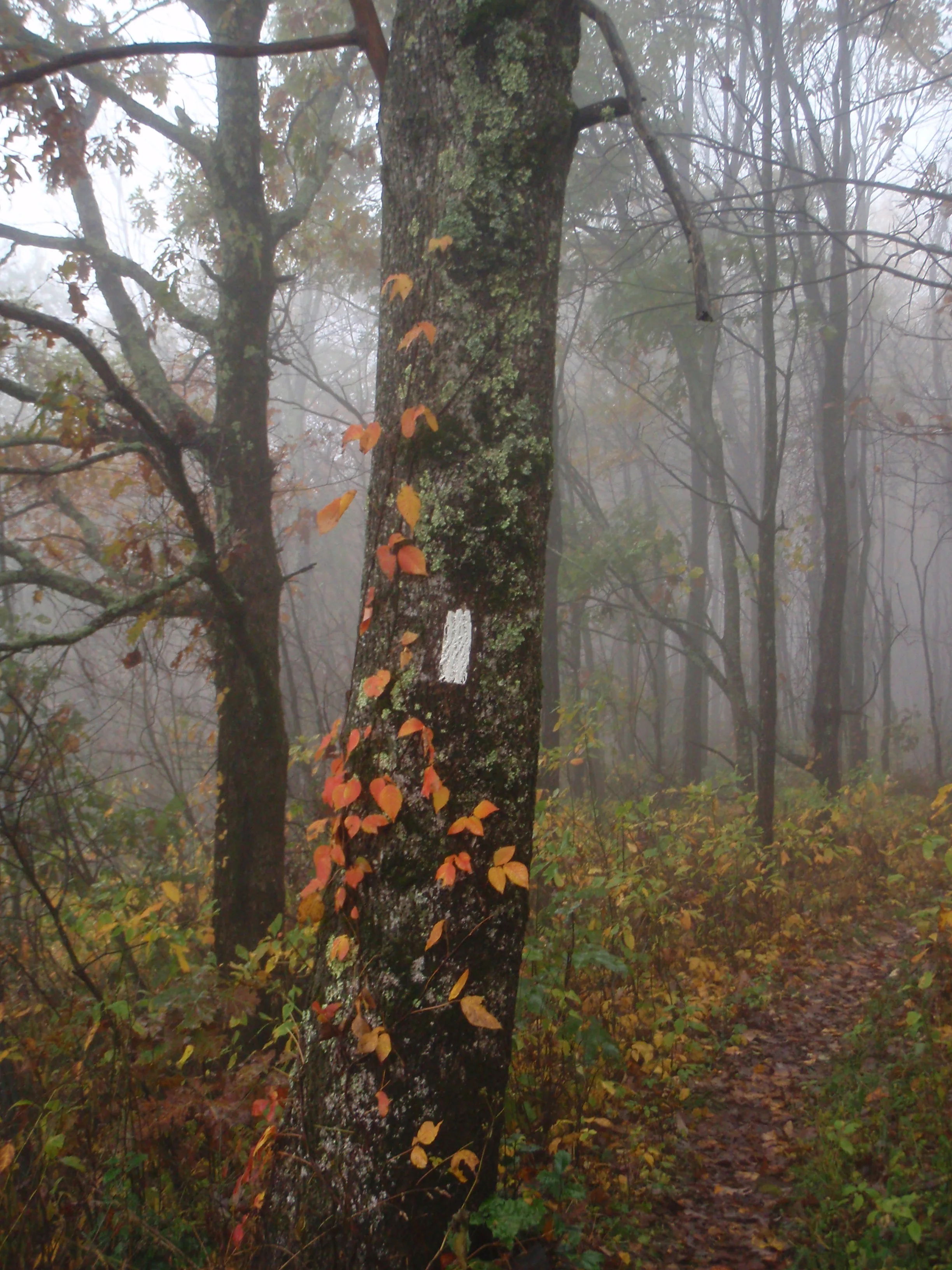 PA160237.jpg
