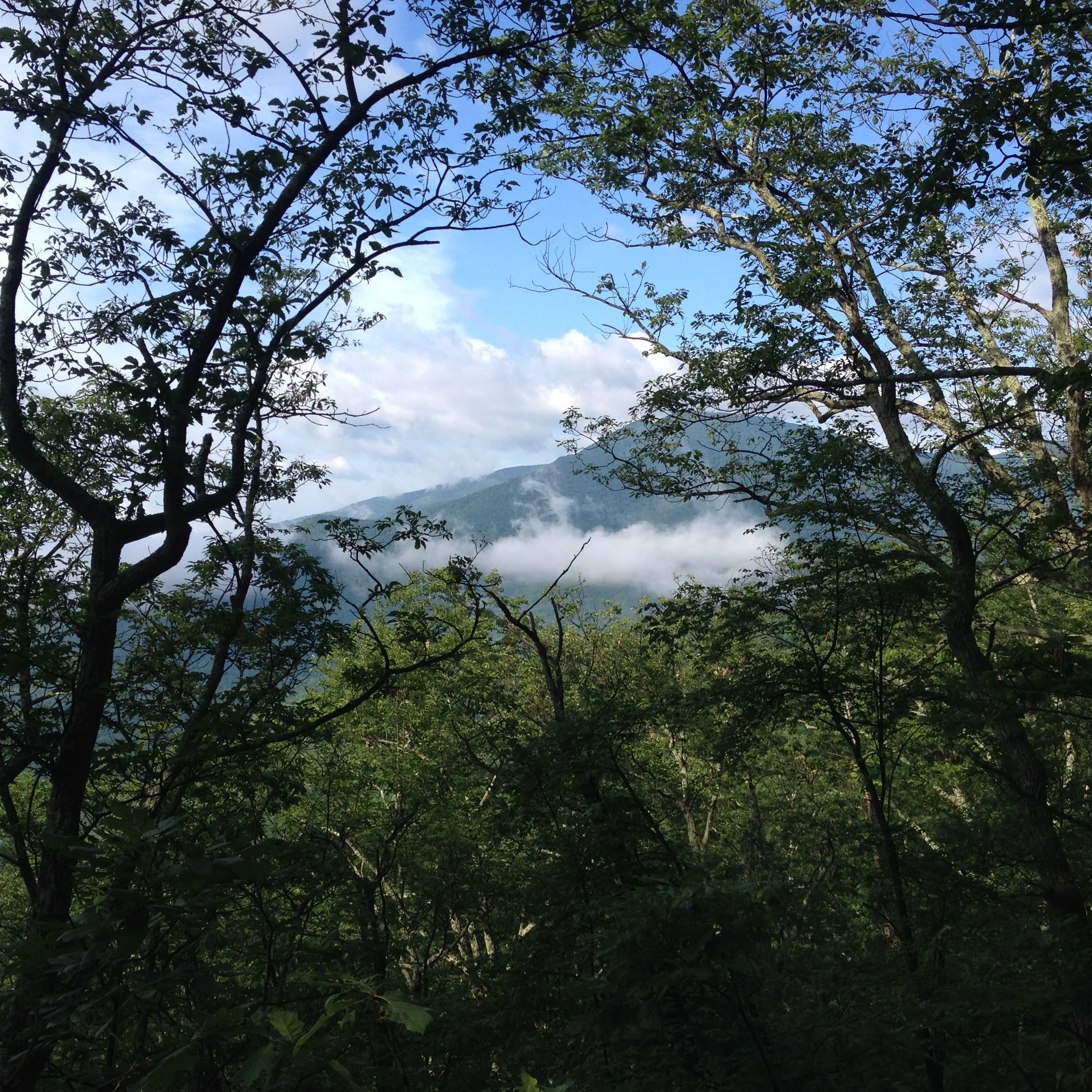 While Thru Hiking Appalachian Trail