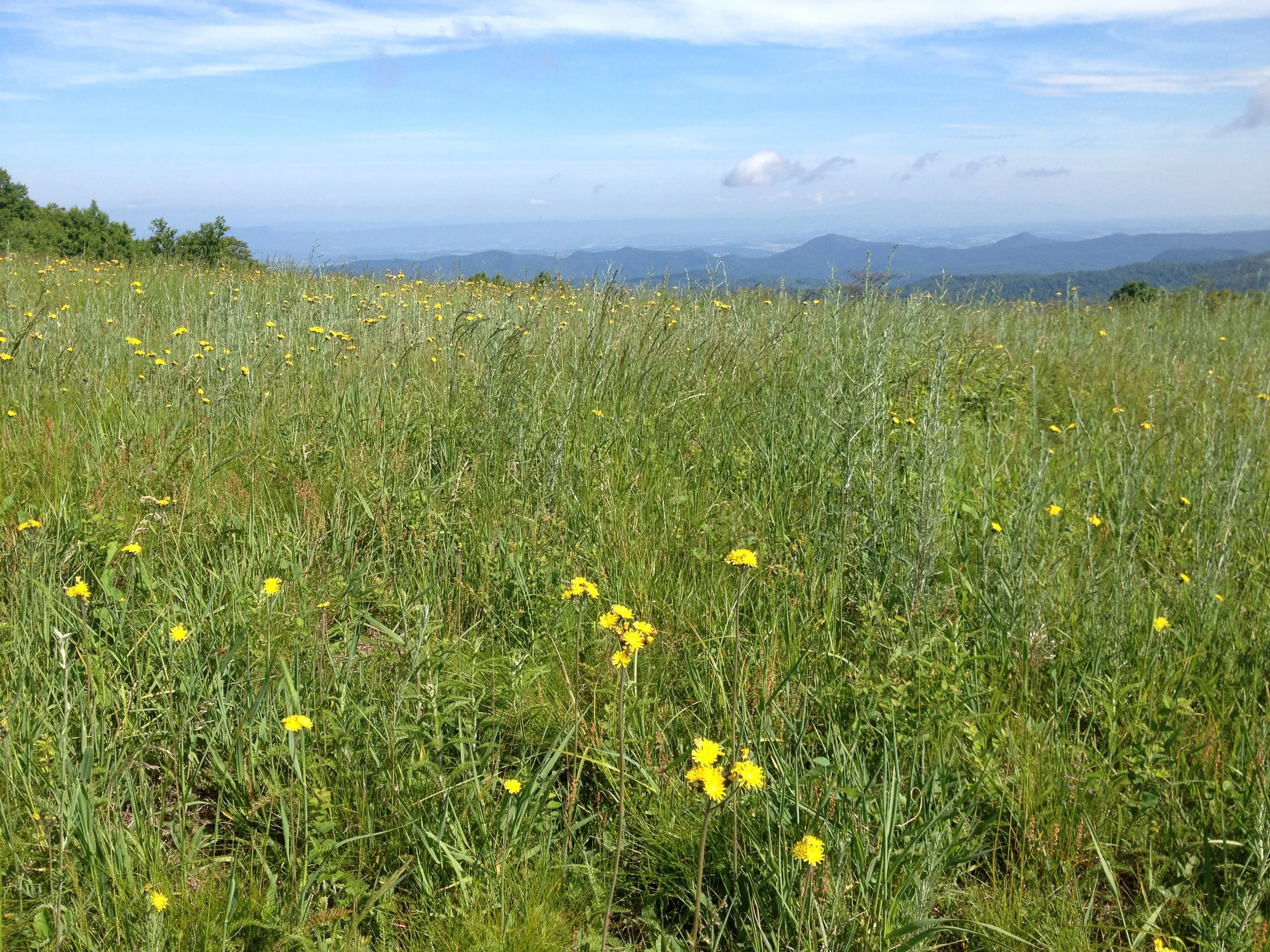 While Thru Hiking Appalachian Trail