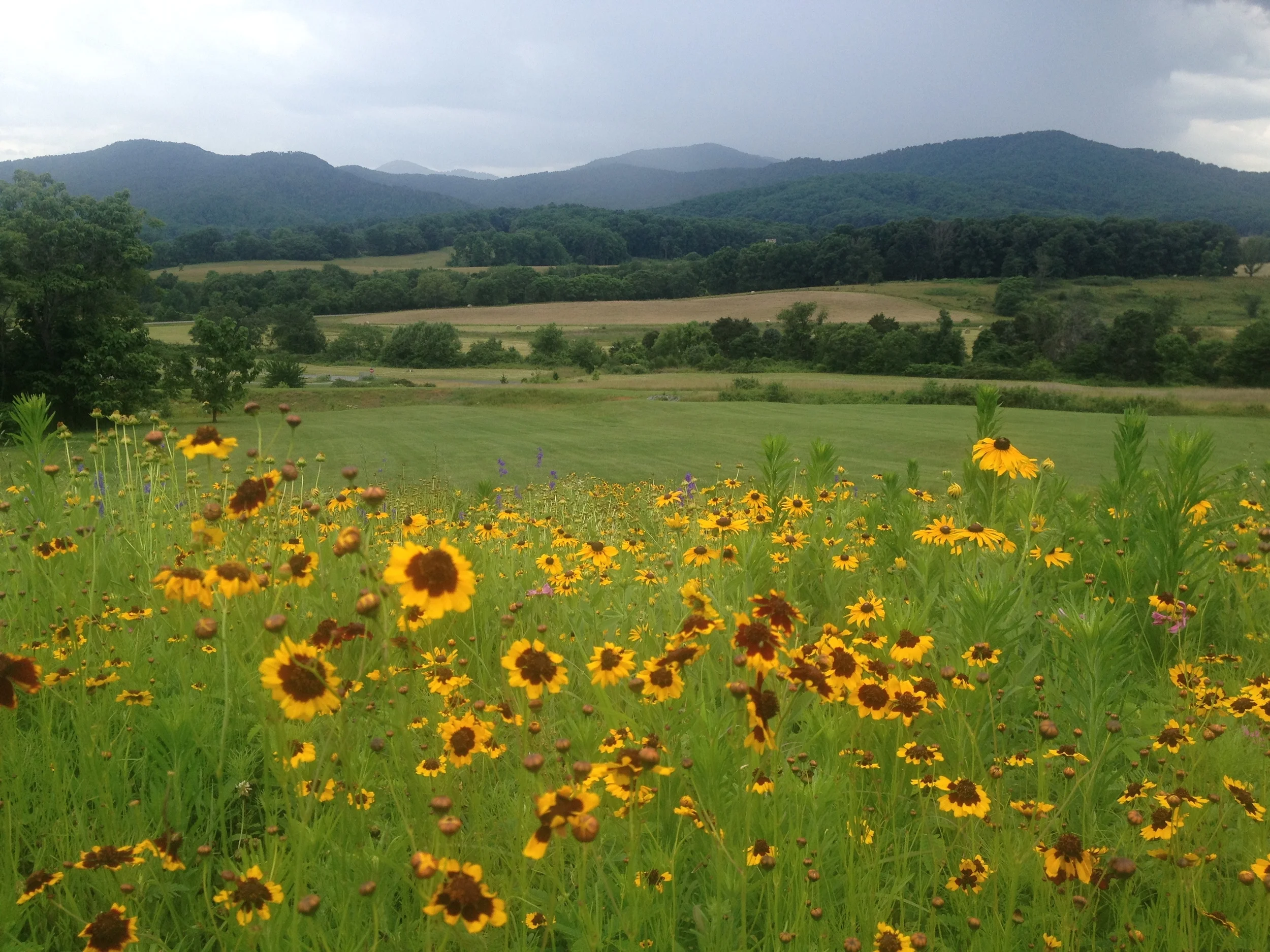 While Thru Hiking Appalachian Trail