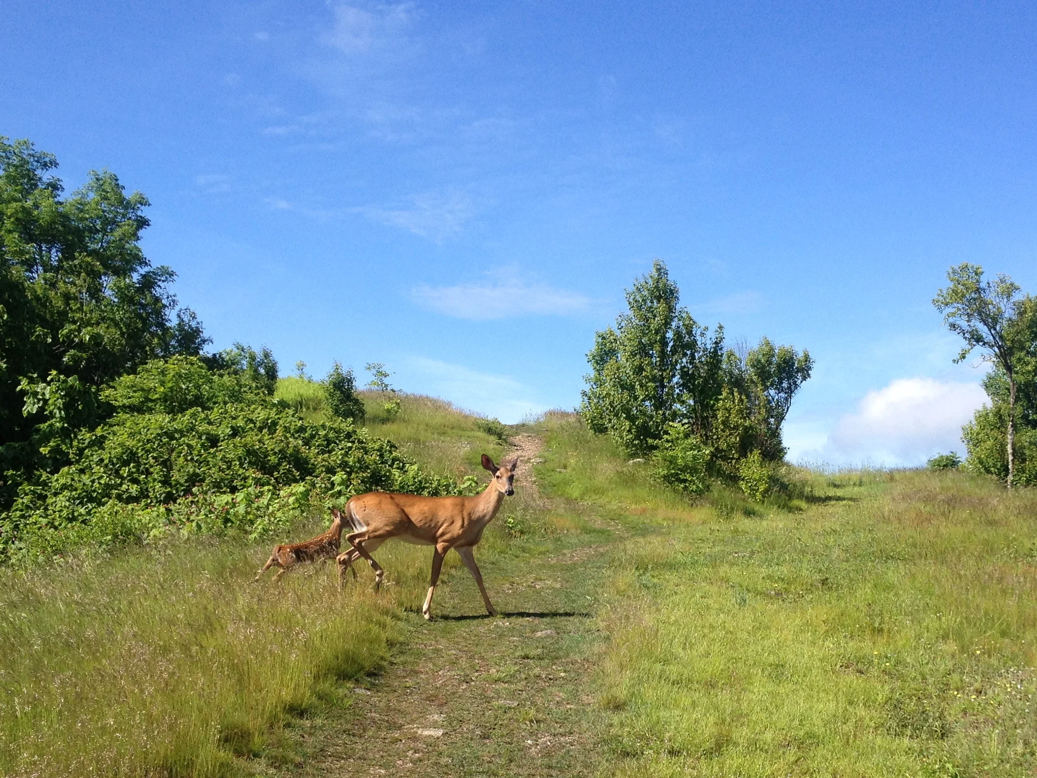 While Thru Hiking Appalachian Trail