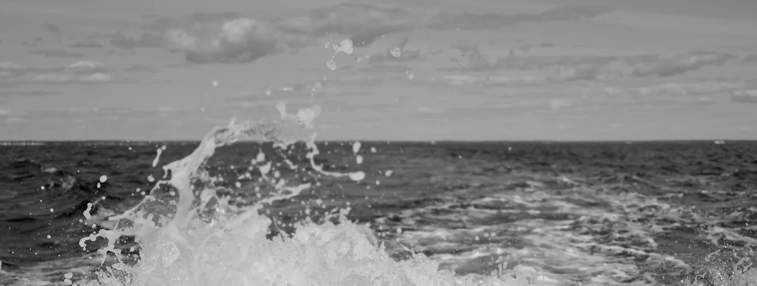 wave.jpg