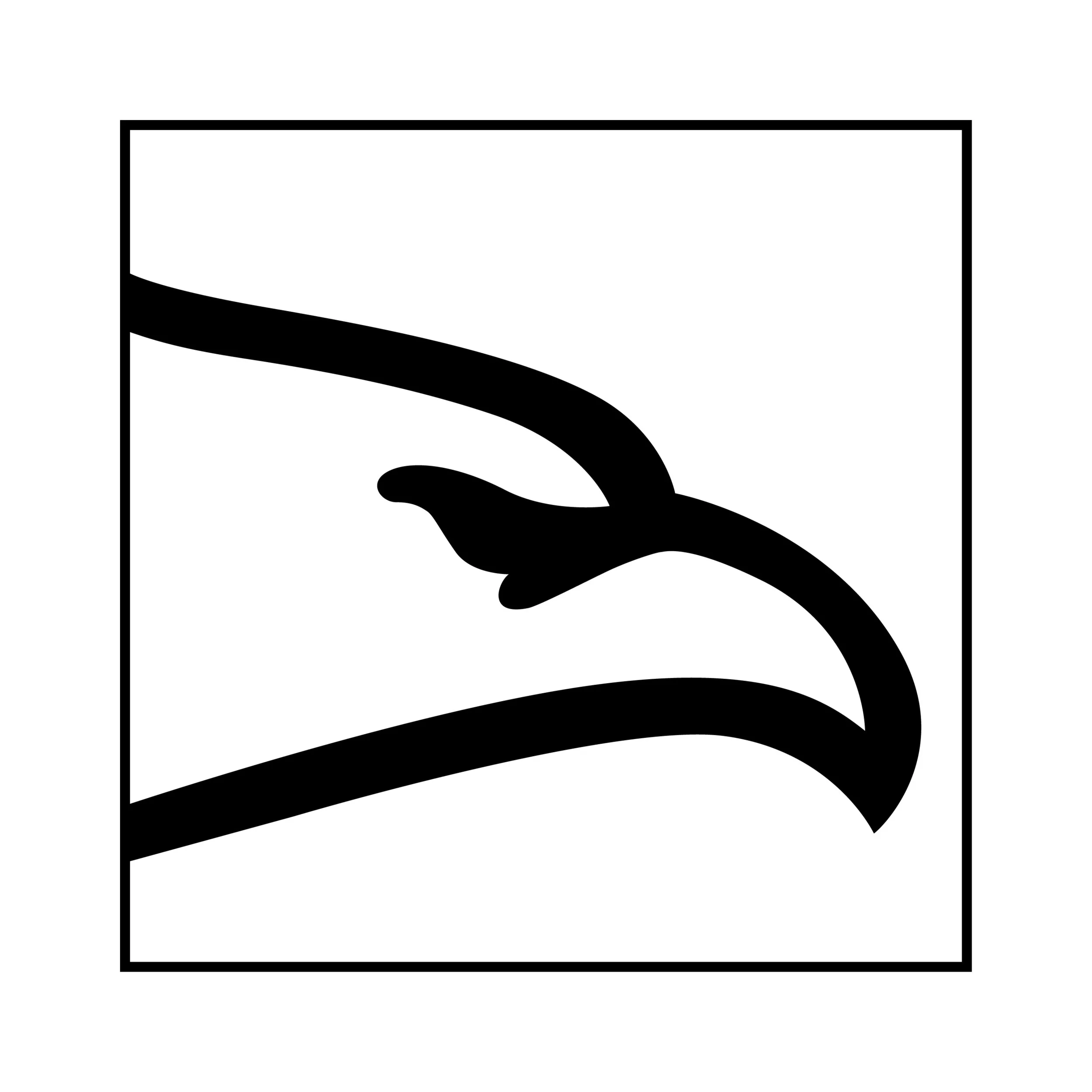 Graphic Stylization of an Eagle
