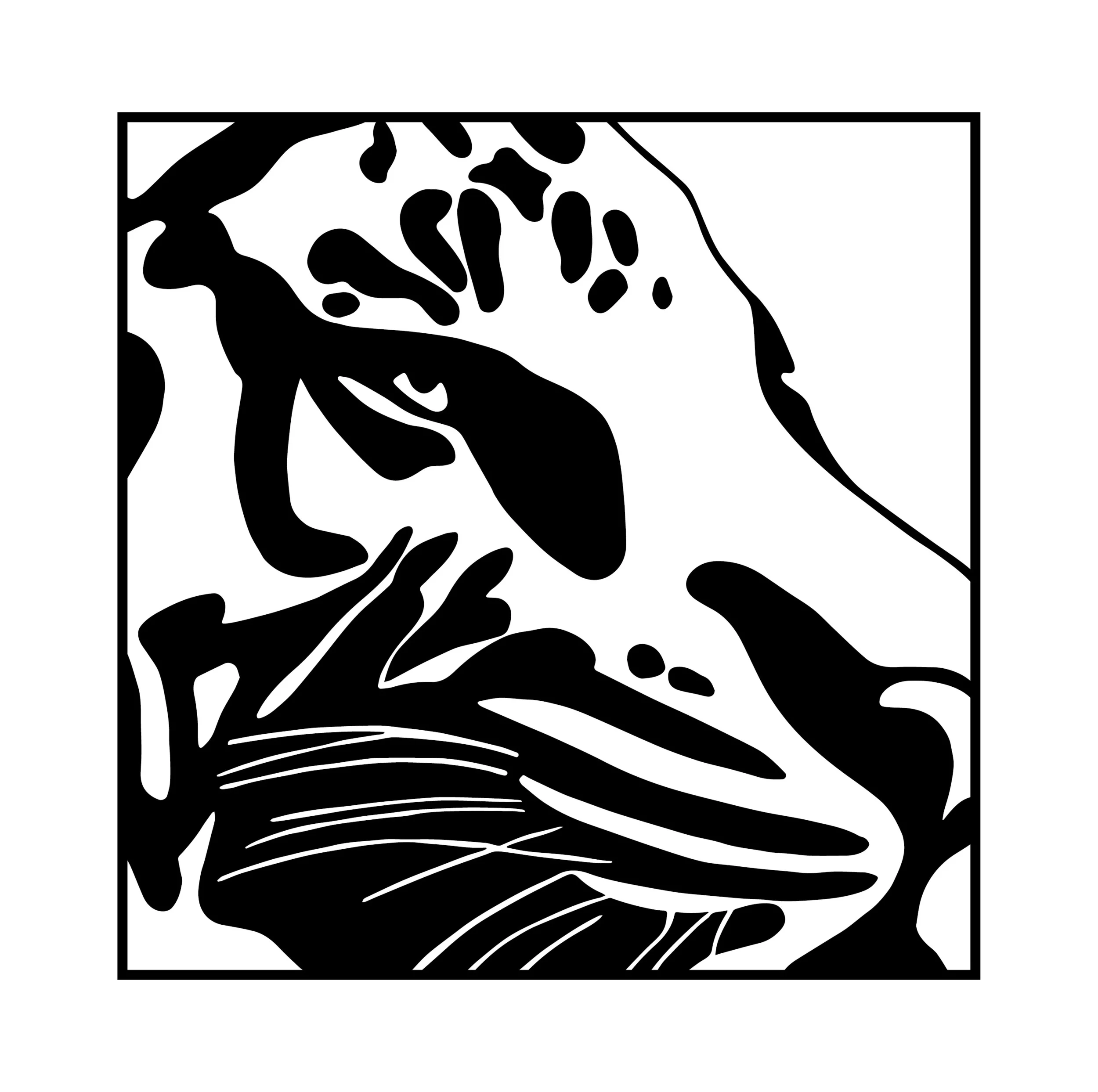 Graphic Stylization of a Leopard