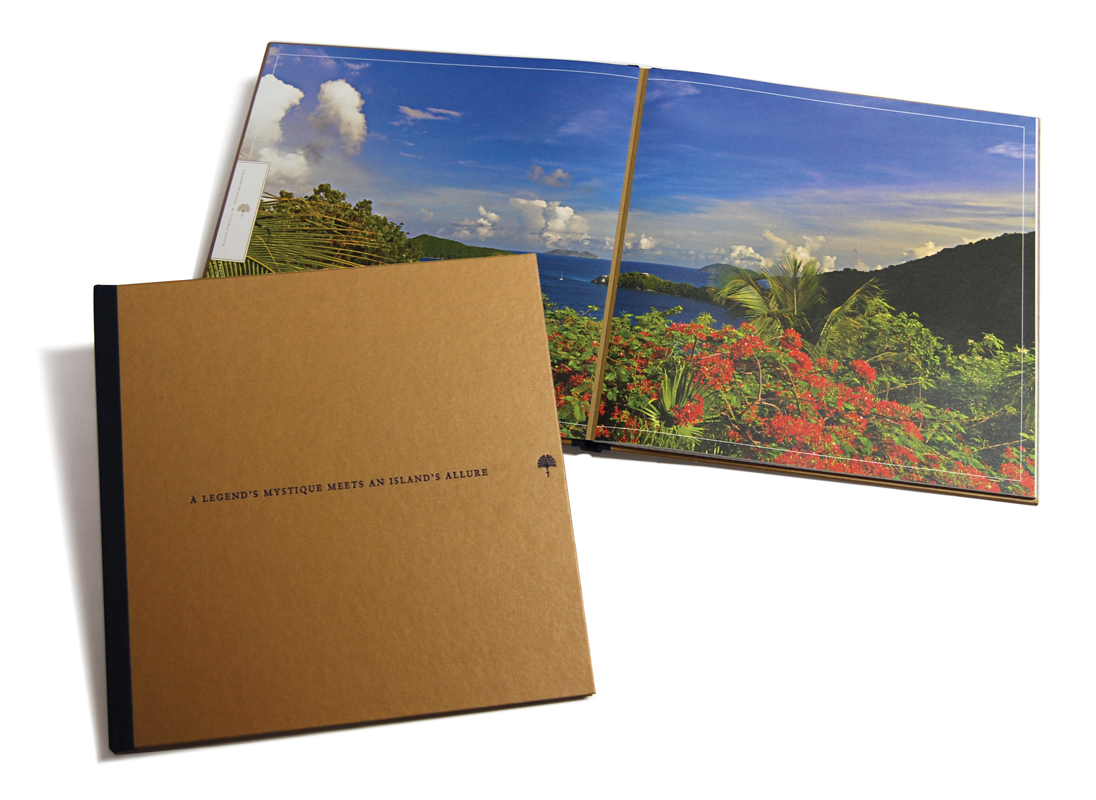 Raffles St. Lucia Vision Brochure