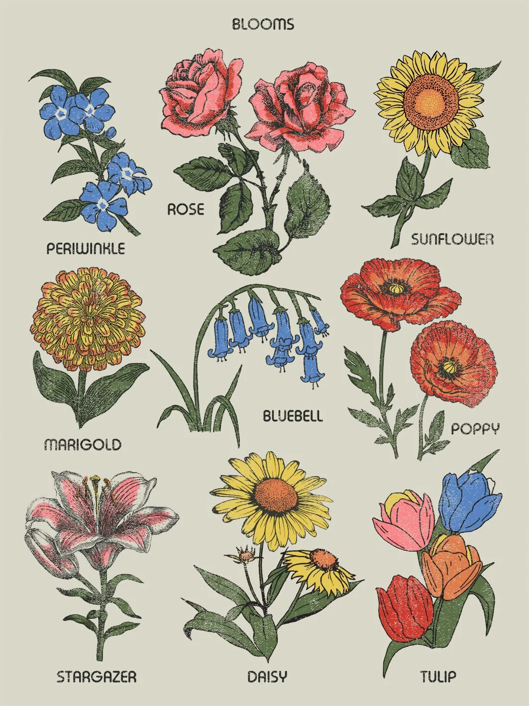 BLOOMS-ART.jpg