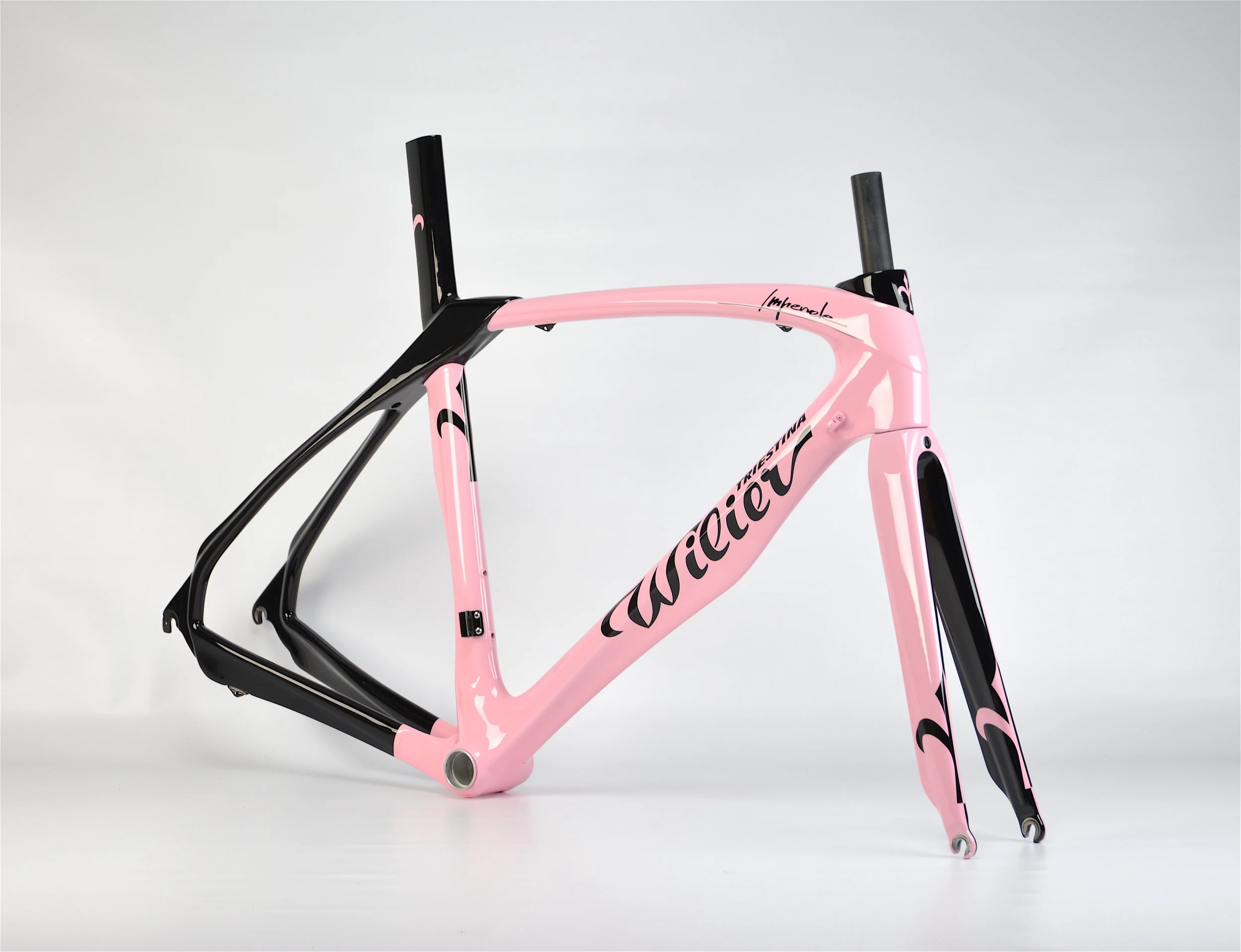 Custom Bike Mountain Bike Frame Painting Custom Bike Frame Paint