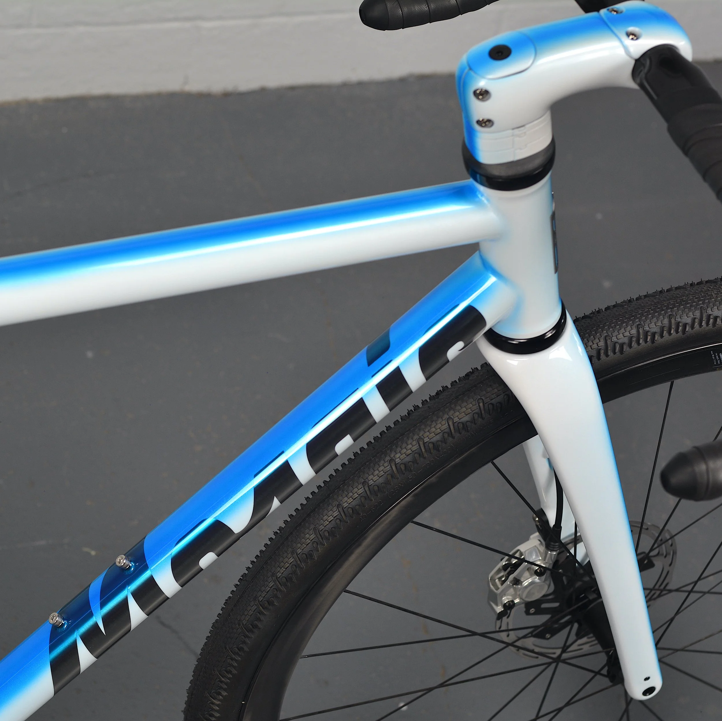 Mosaic GT1-iAR Black Magic Paint 2025_0038 copy.JPG