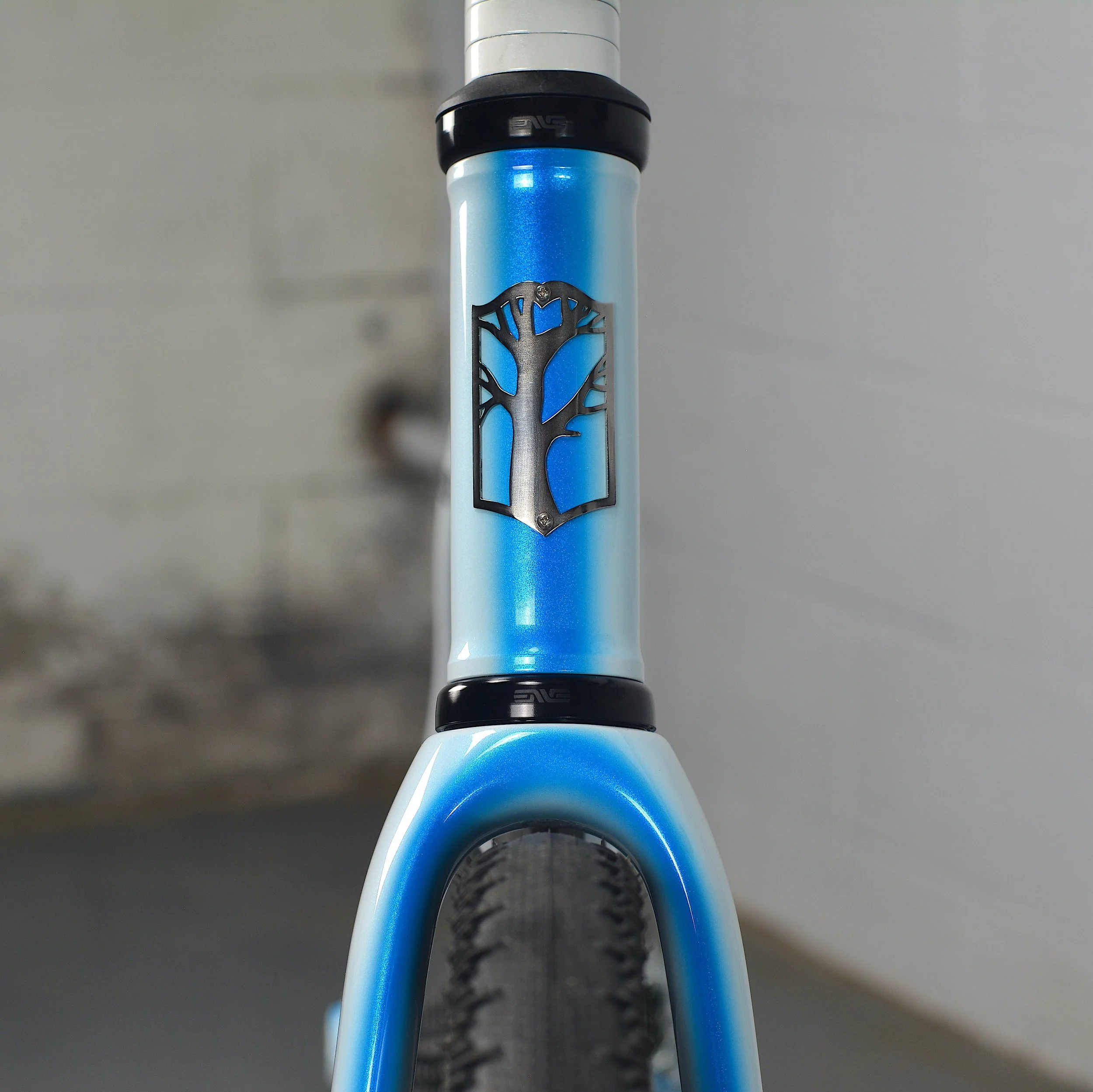 Mosaic GT1-iAR Black Magic Paint 2025_0009 copy.JPG