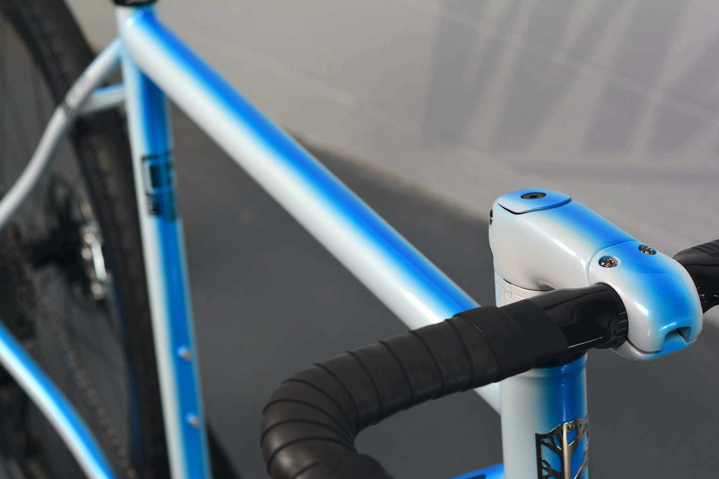 Mosaic GT1-iAR Black Magic Paint 2025_0015 copy.JPG