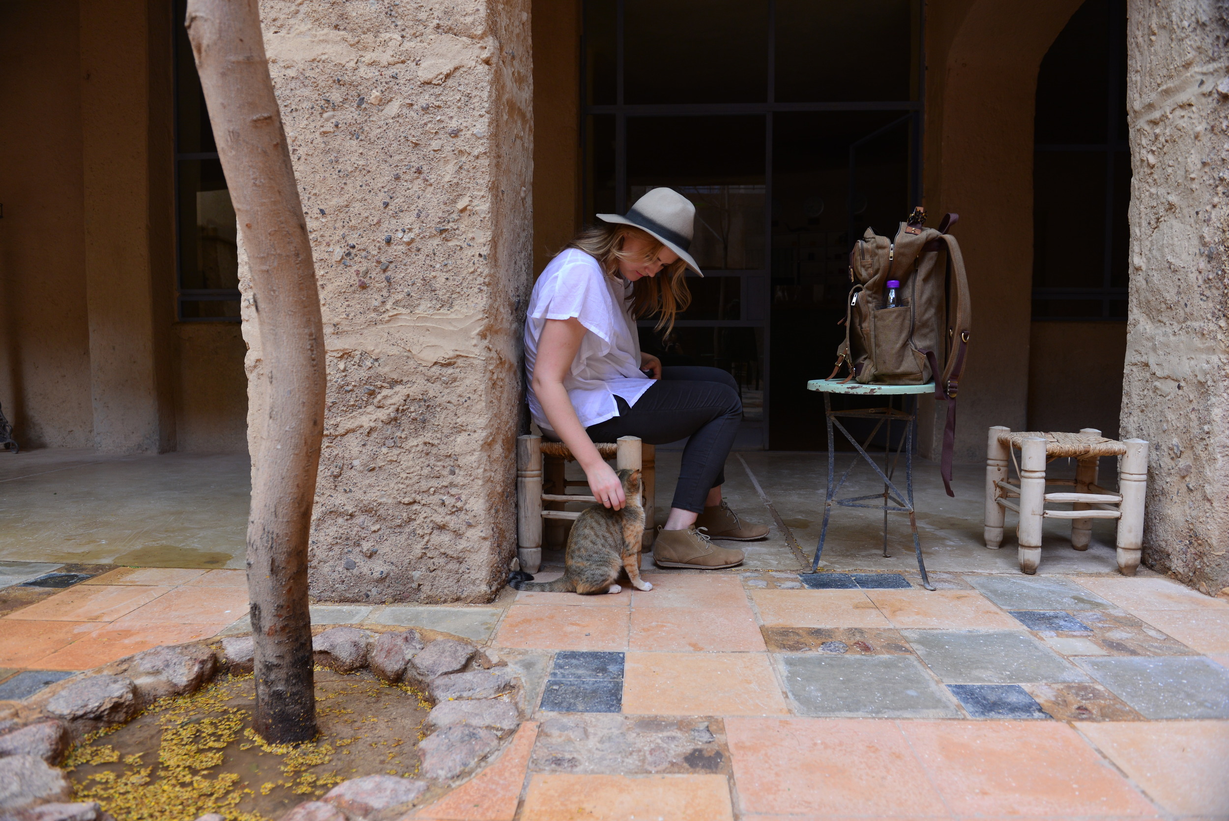 Charlotte making a new friend in the interior courtyard at Feynan Ecolodge.
