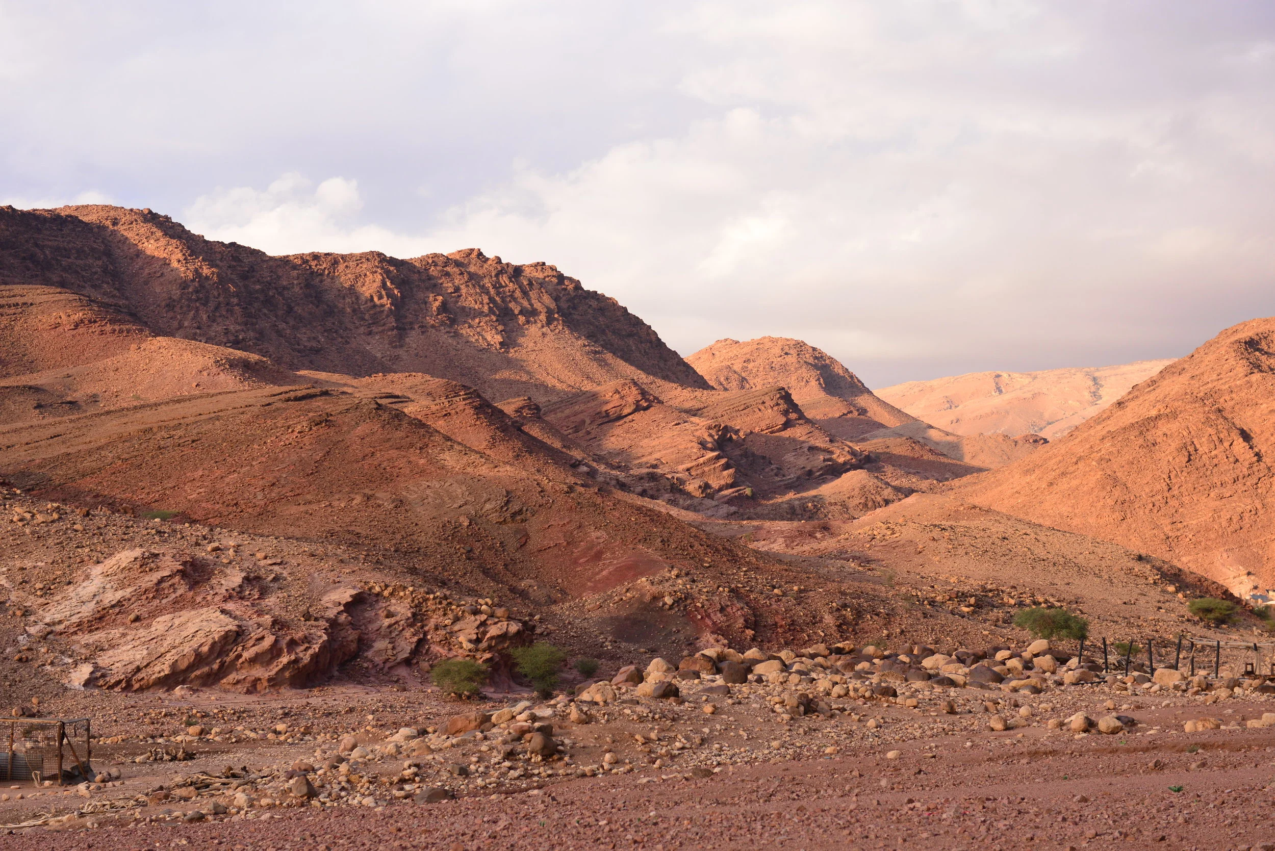 View into the foothills of the Dana Biosphere Nature Reserve.