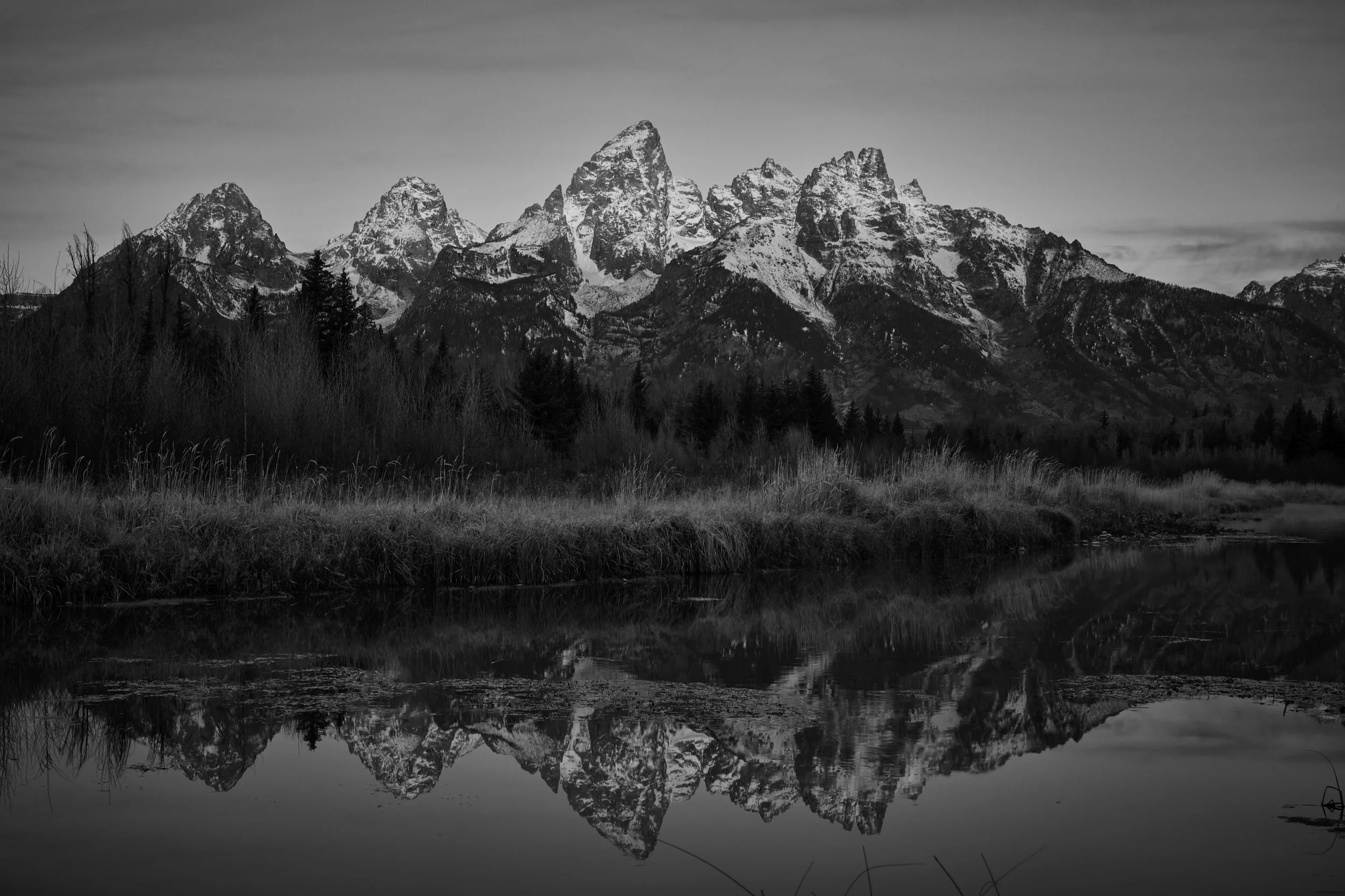 Jackson Hole 2025 14.jpg