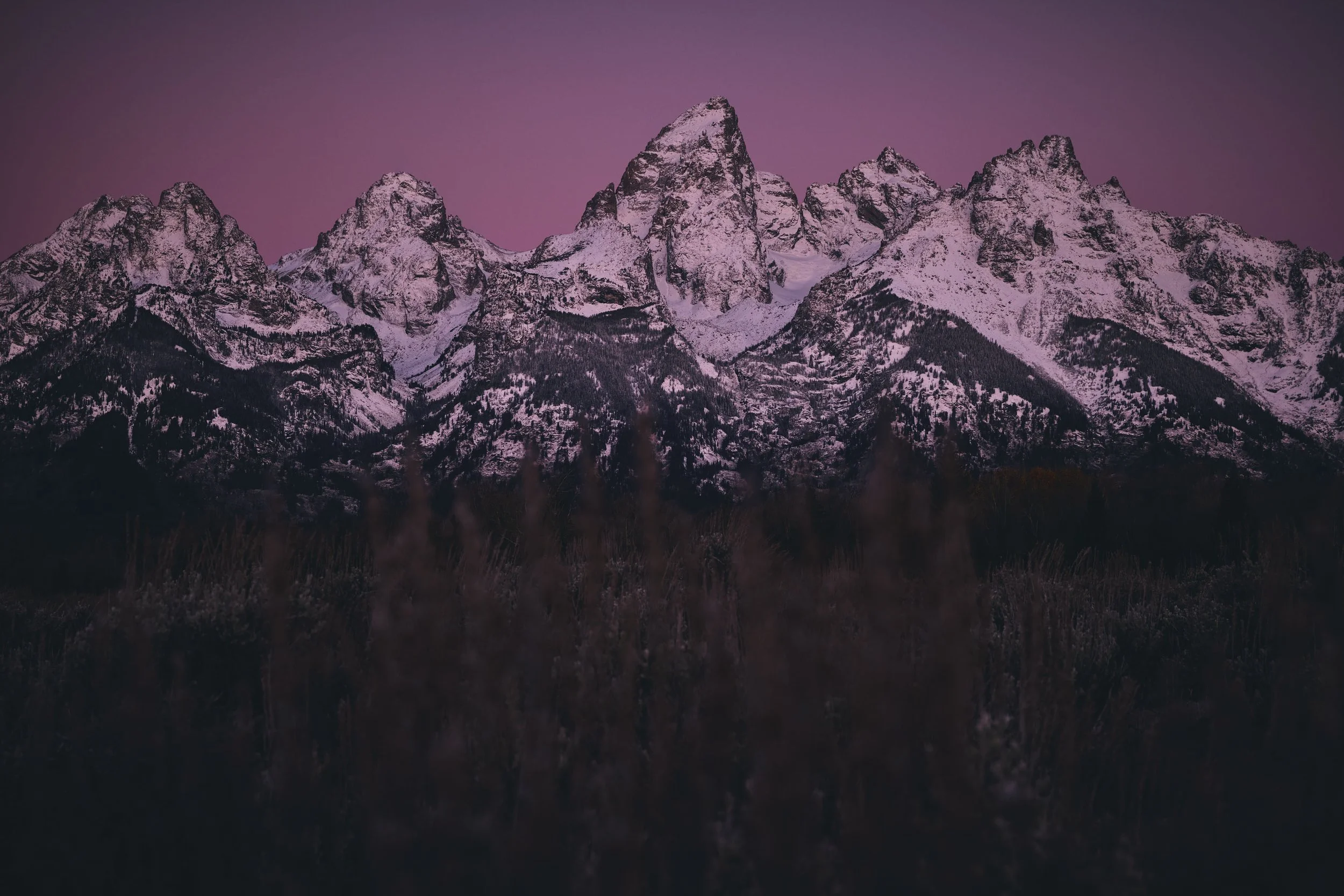 Jackson Hole 2025 23.jpg