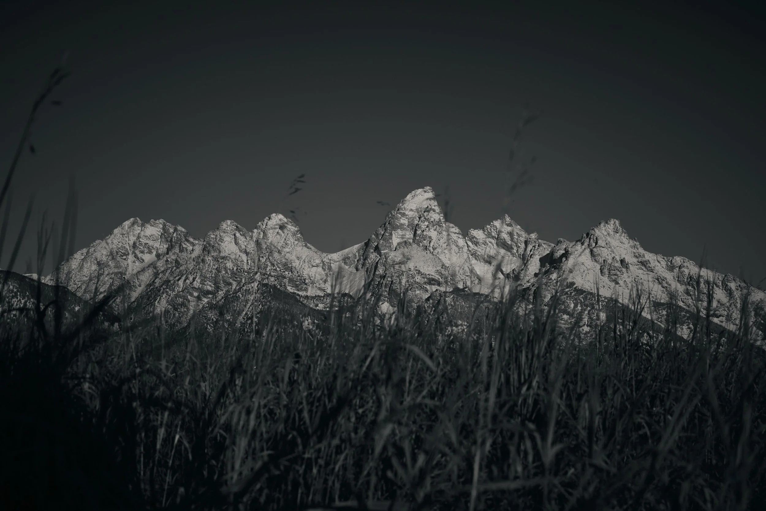 Jackson Hole 2025 55.jpg