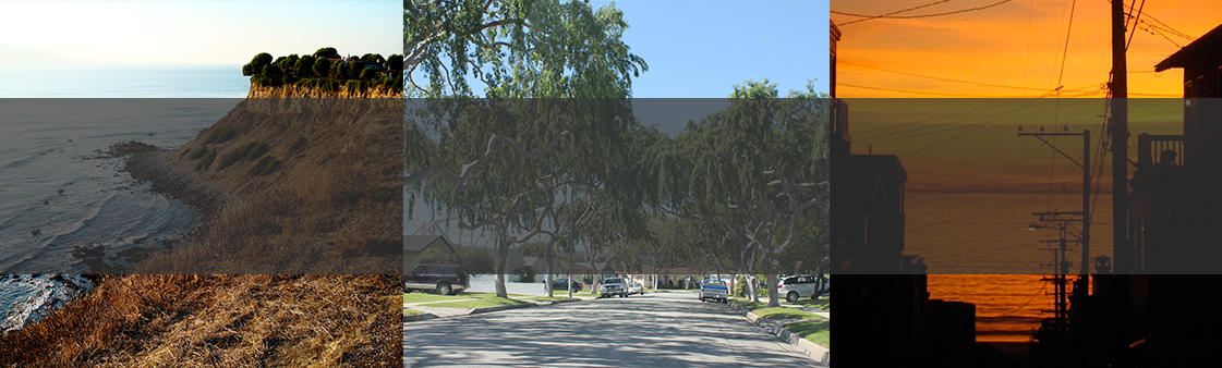 south bay header collage v2.png