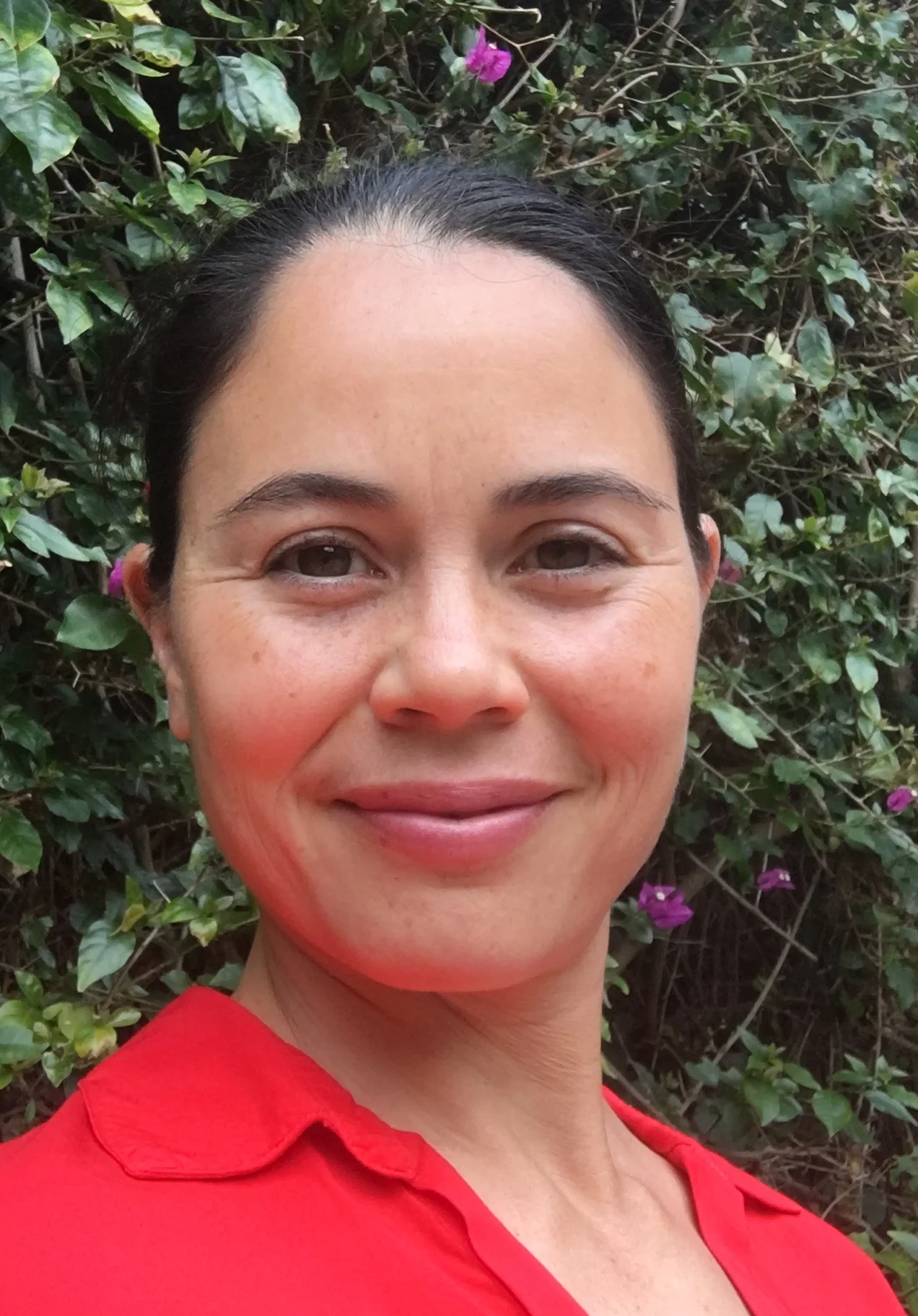 The College Admissions and Selection Process: A Mindful Approach to Parenting, by Kim Digilio