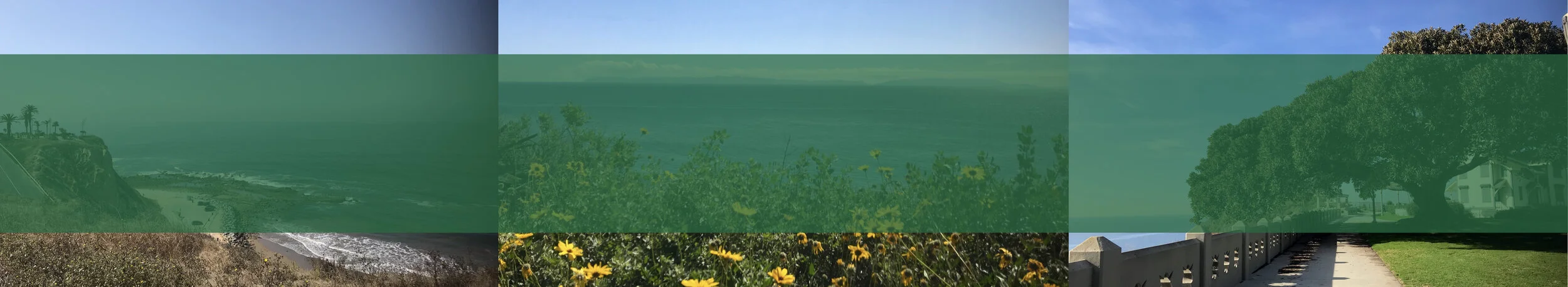 POLAHS BAnner take 4.001.jpeg