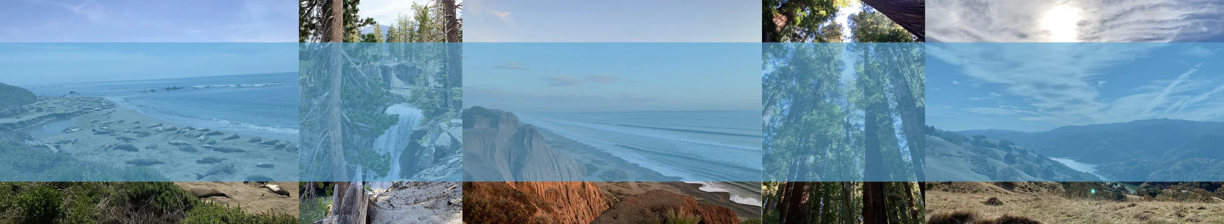 Families connected banner 8:17:21.001.jpeg