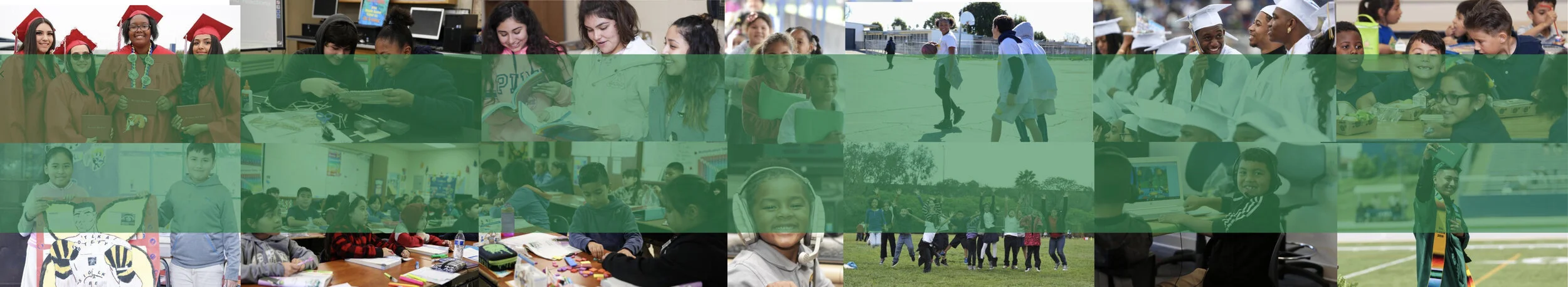IUSD Banner green.001.jpeg
