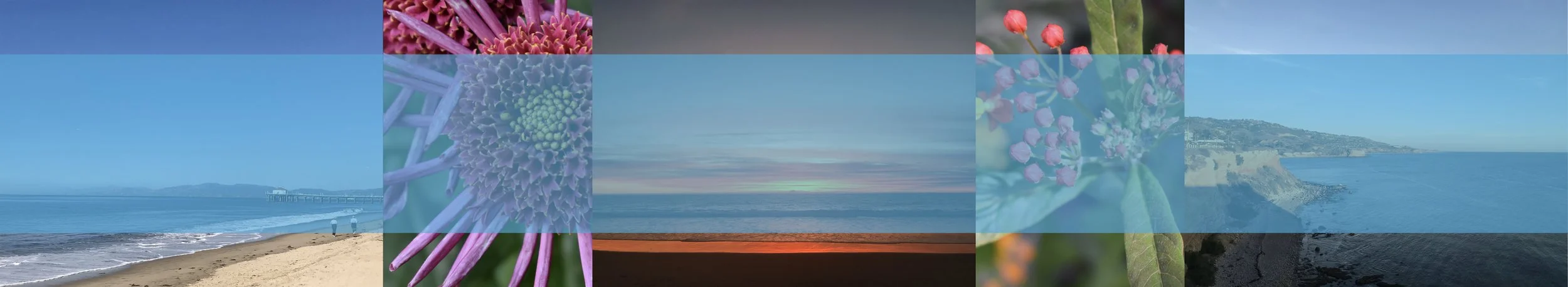 Supporters Banner.001.jpeg