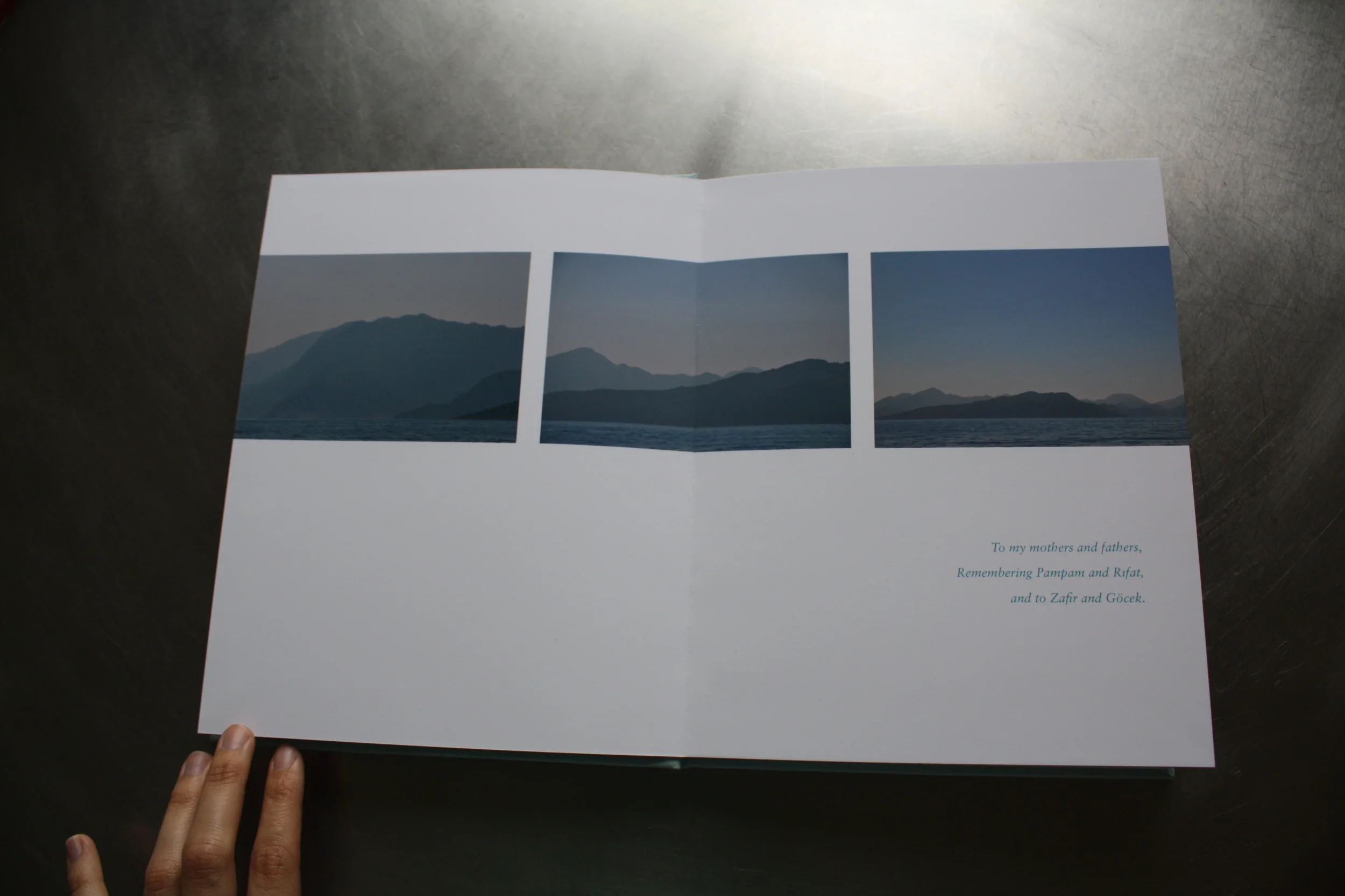 CHRONICLES OF A SUMMER