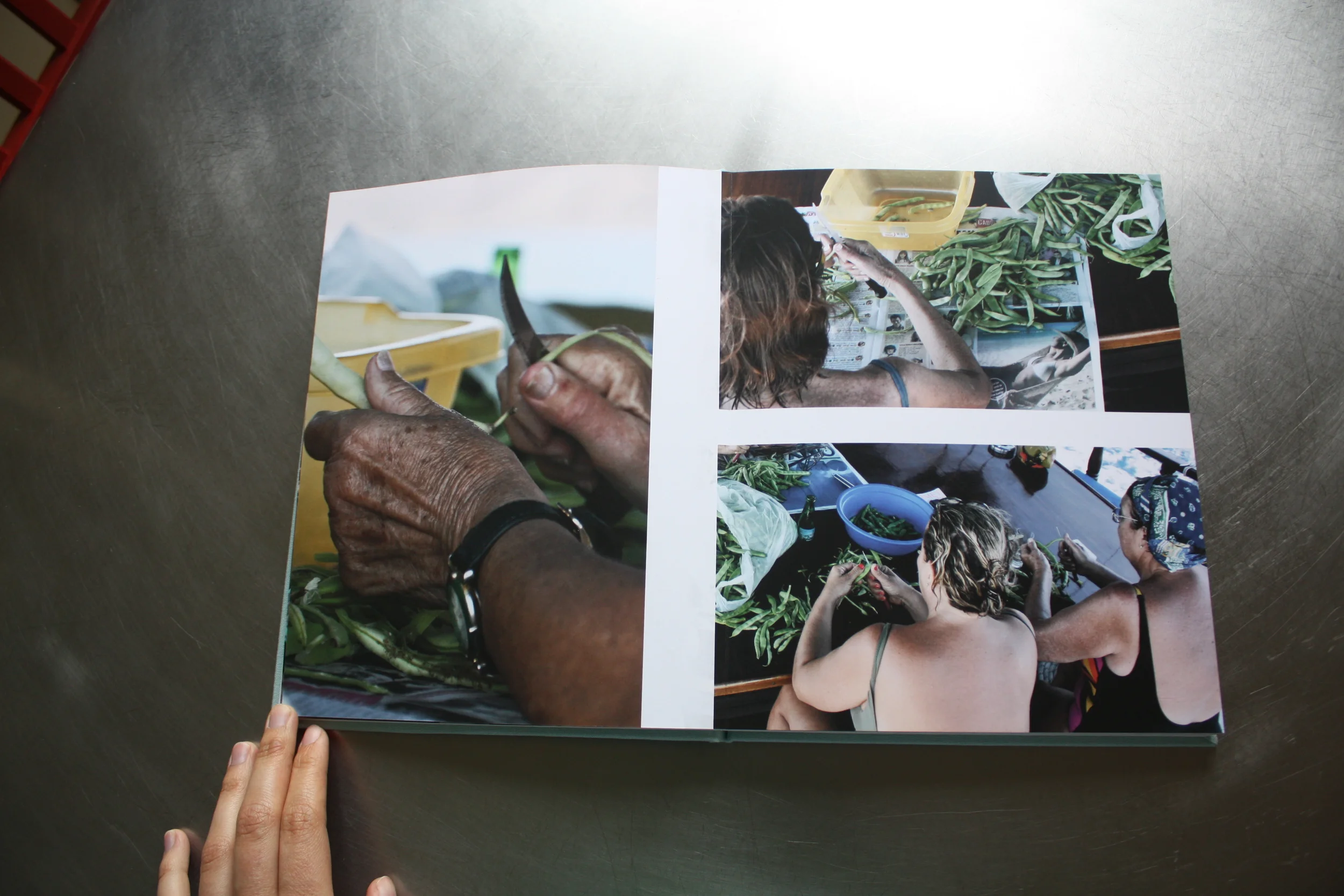 CHRONICLES OF A SUMMER