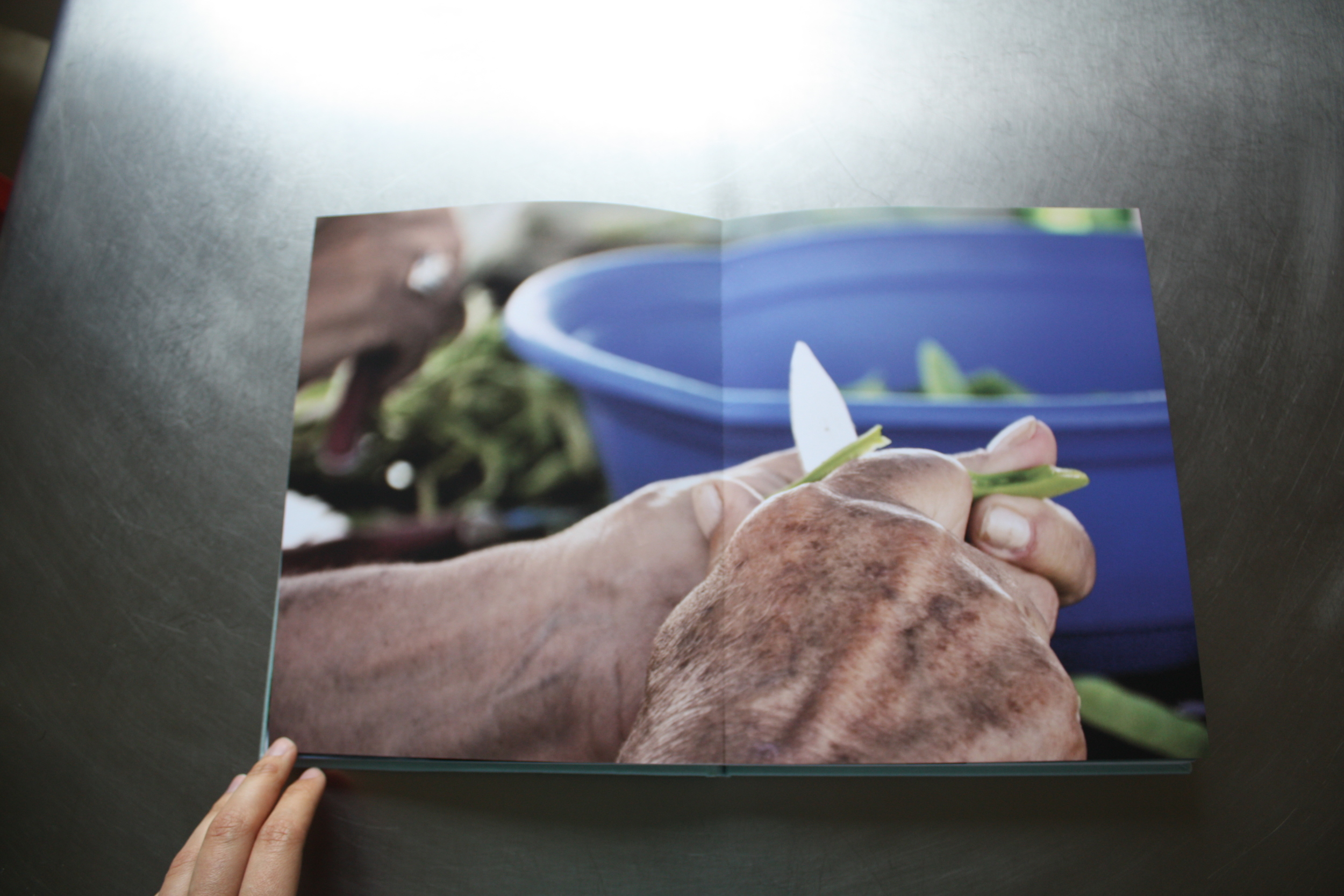 CHRONICLES OF A SUMMER