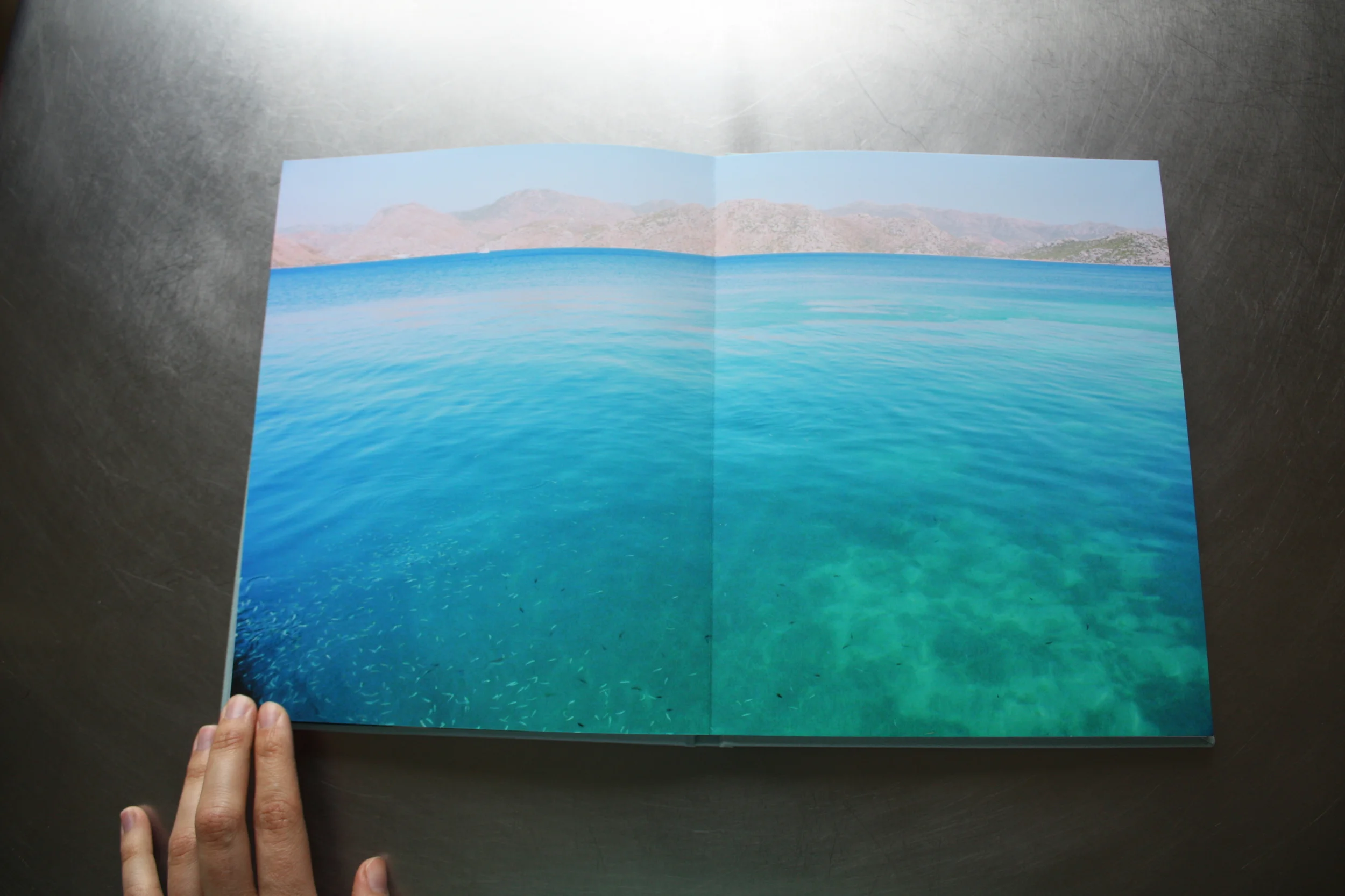 CHRONICLES OF A SUMMER