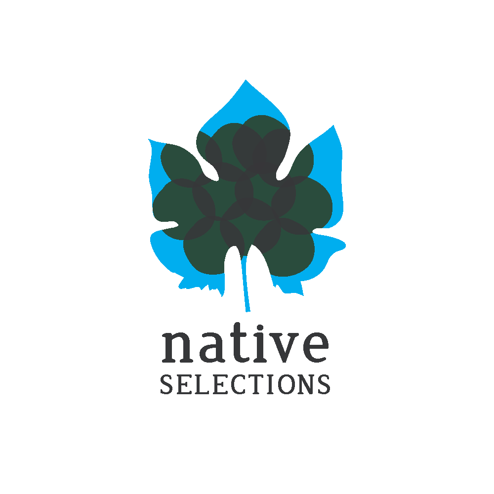 NativeSel1.png