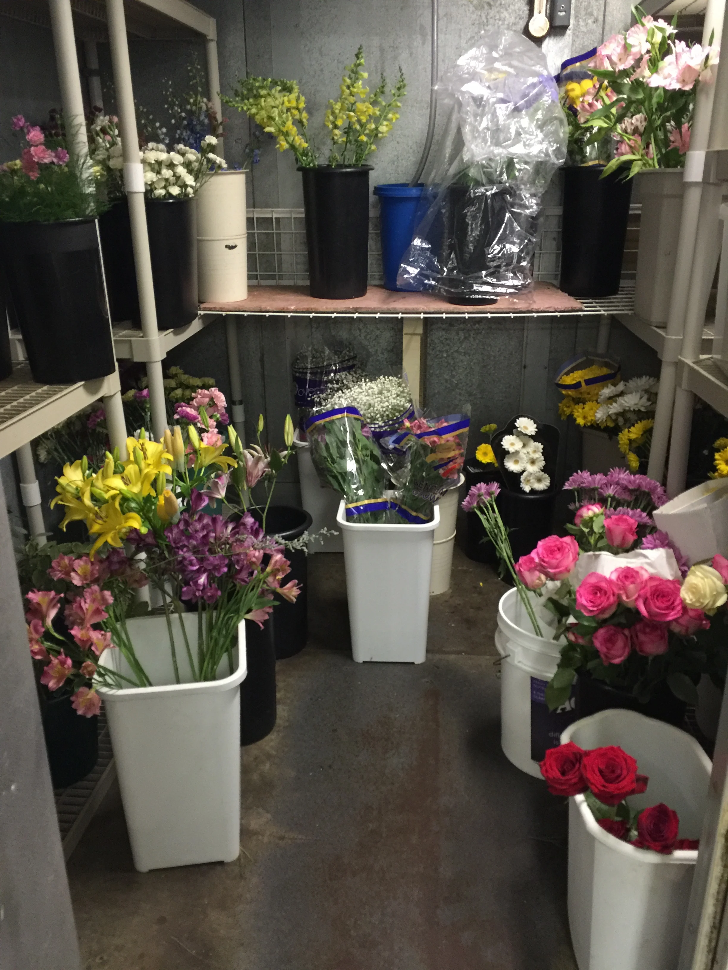 Granny Bloomer's Flower Refridgerator