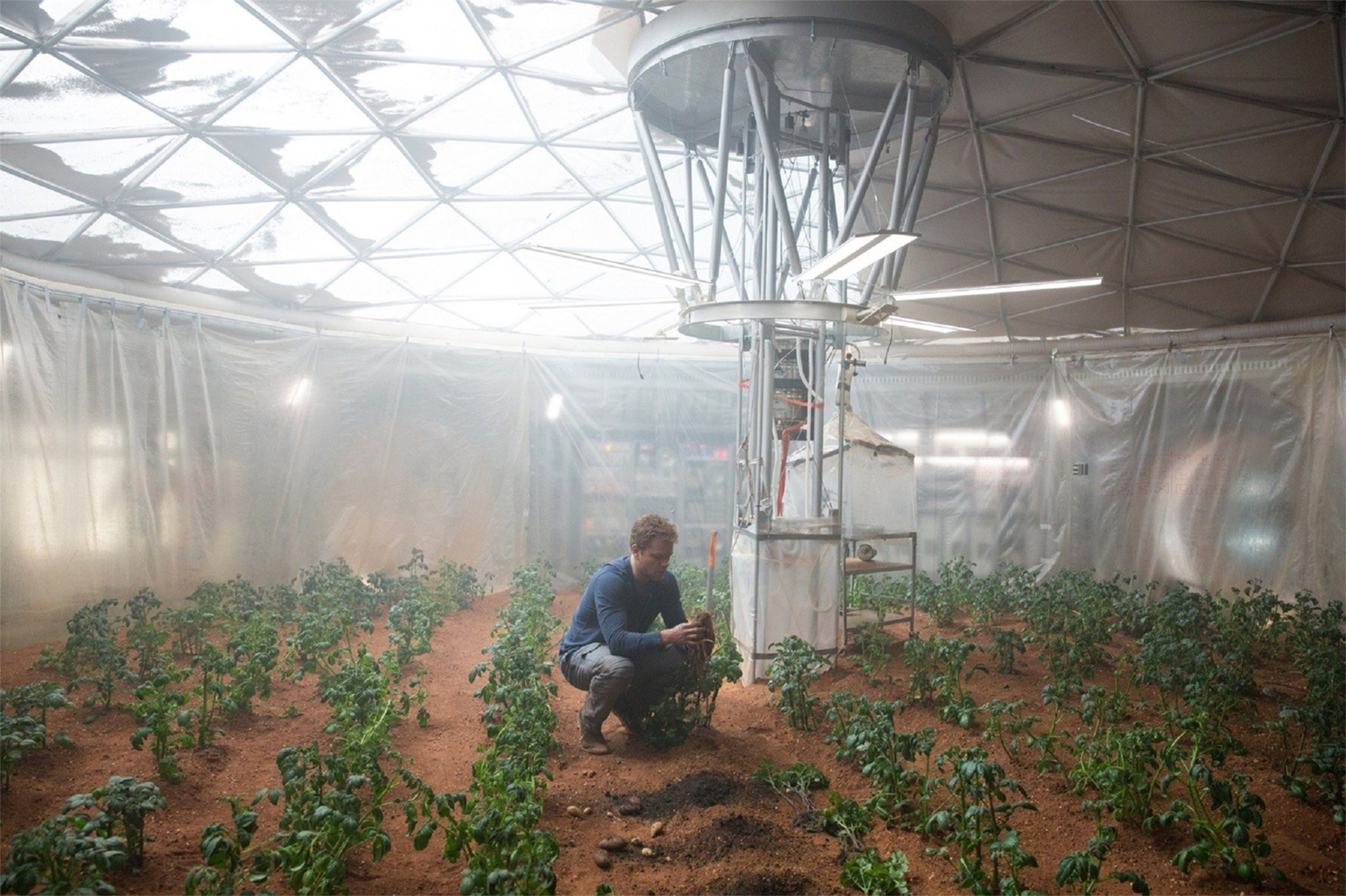 Astronaut Mark Watney harvests his potatoes on Mars in 2015 science fiction film "The Martian." 20th Century Fox