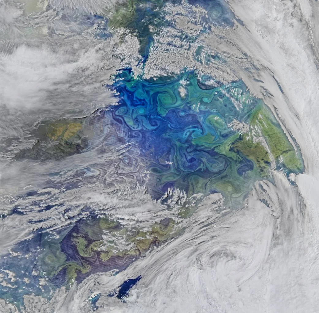 Image Credit: NASA/Ocean Biology Processing Group, NASA Goddard Space Flight Center