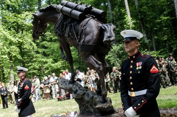 An image from the unveiling of Sgt Reckless's statue at the National Museum of the Marine Corps. Click the image to read more about Sgt Reckless.